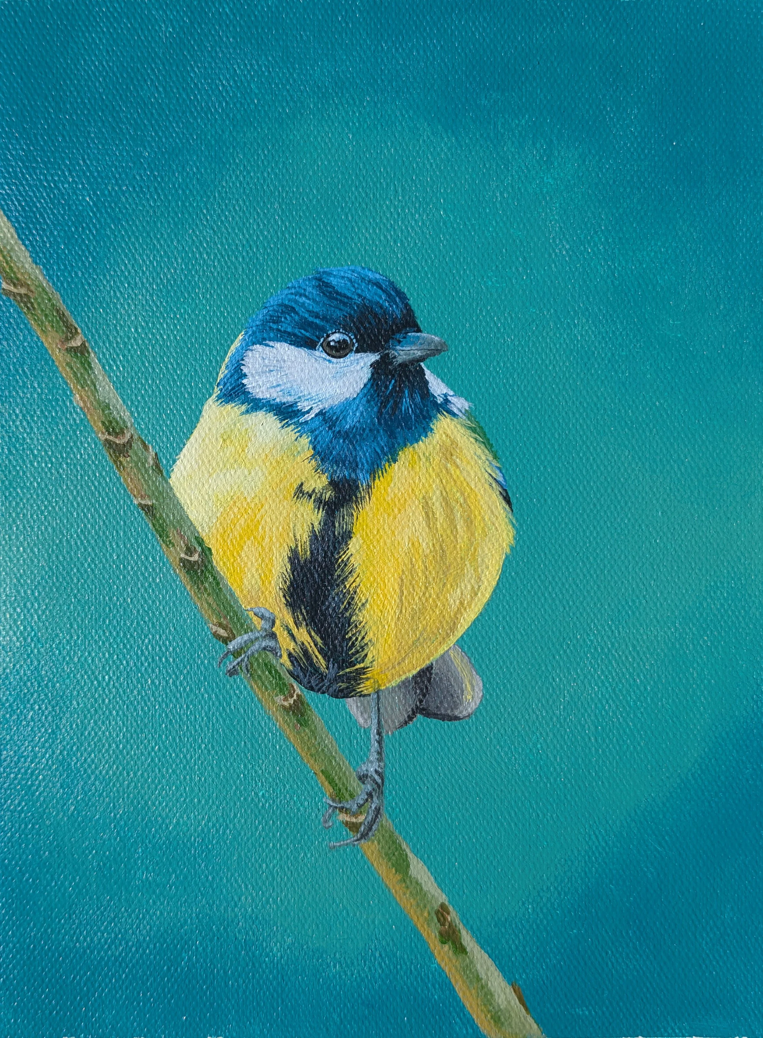 great tit bird painting