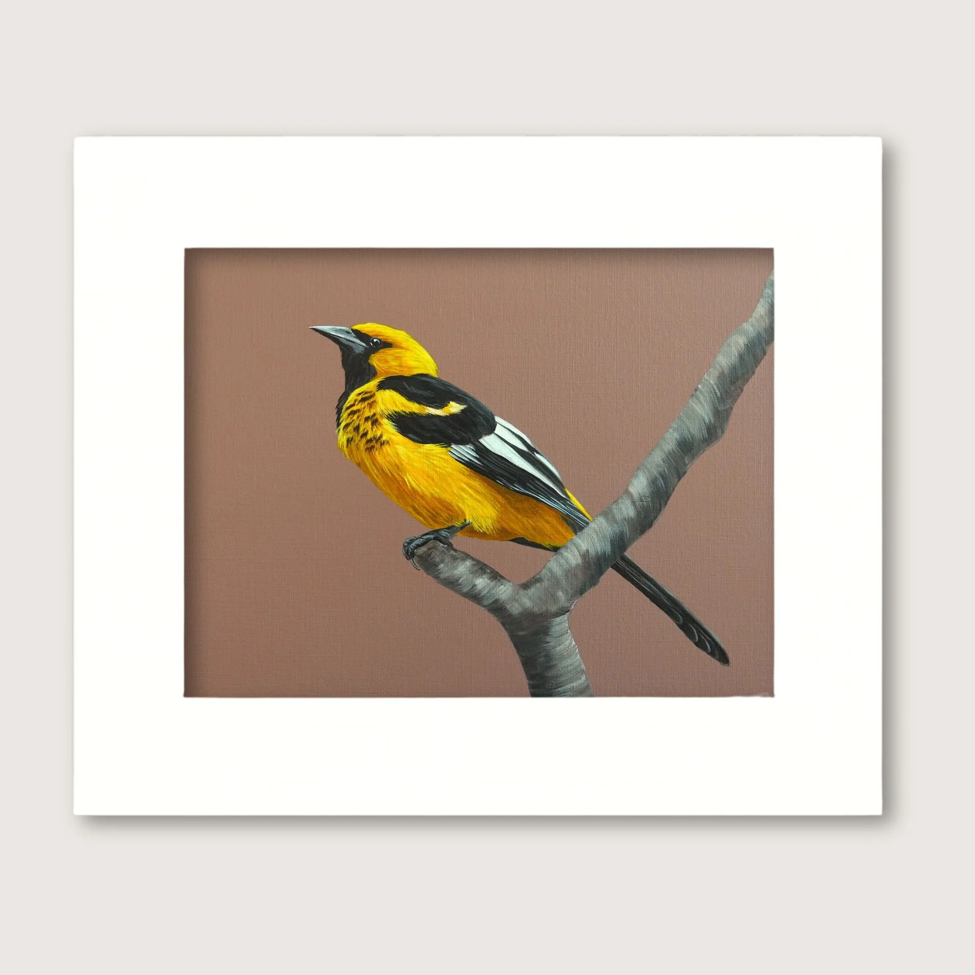 Hooded Oriole Matted Horizontal Shop Img.jpg