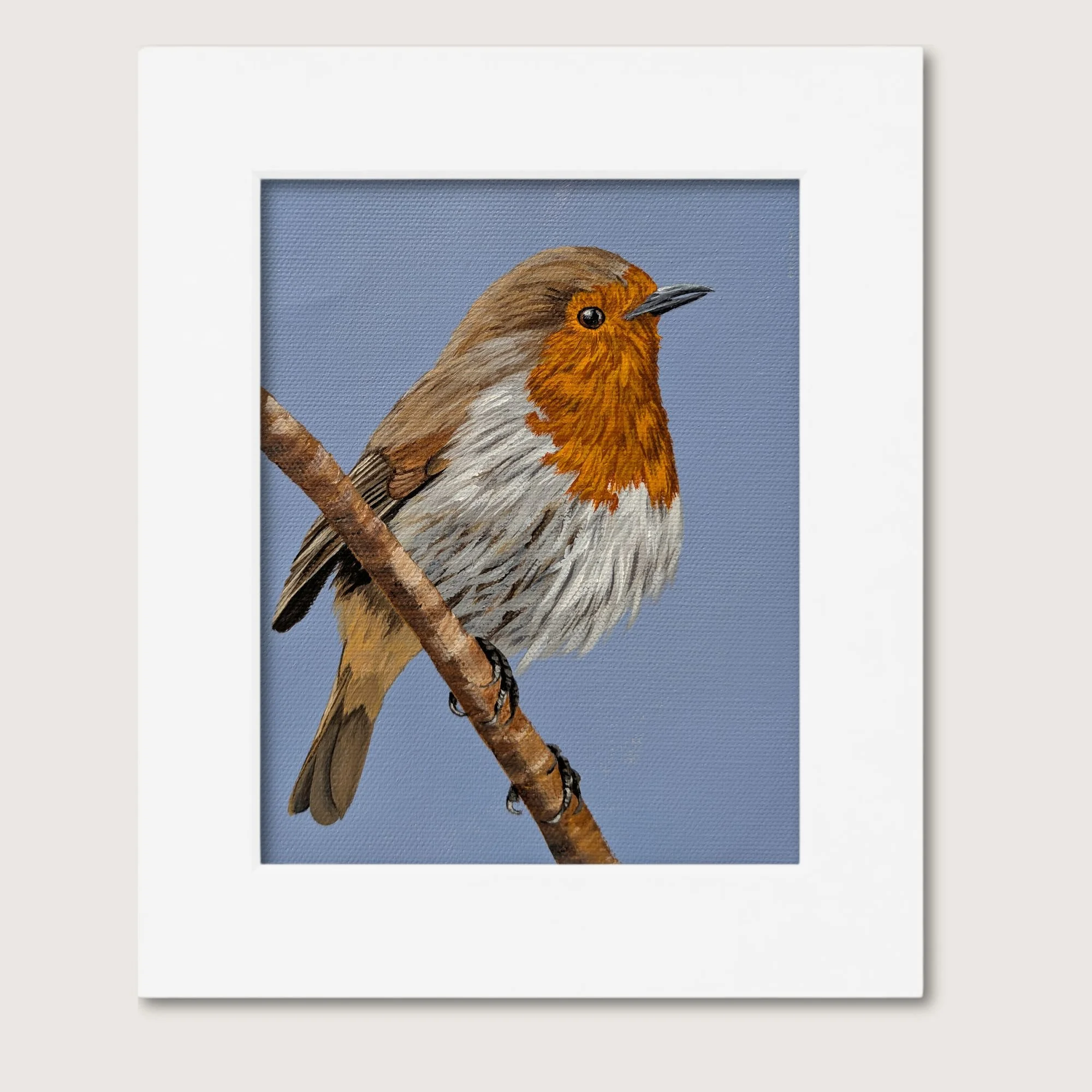 European Robin Matted Shop Img.jpg