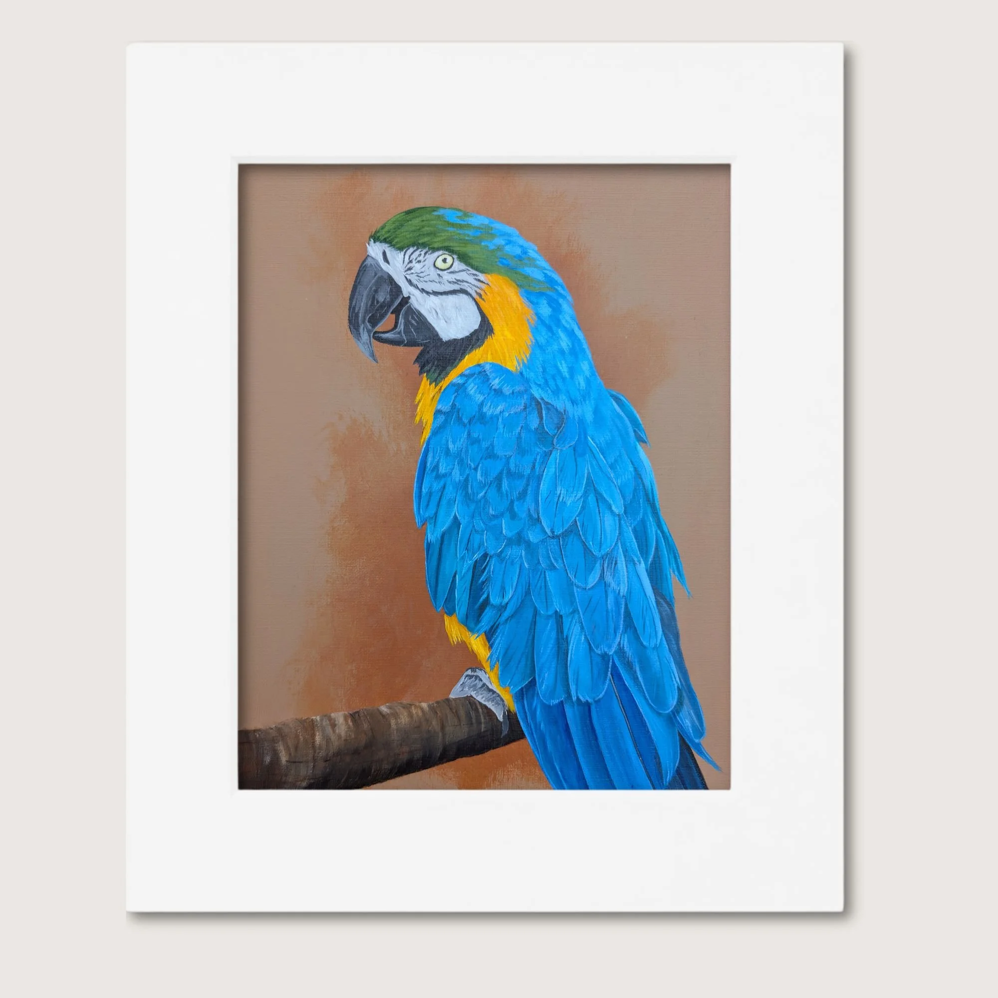 Blue and Yellow Macaw Painting