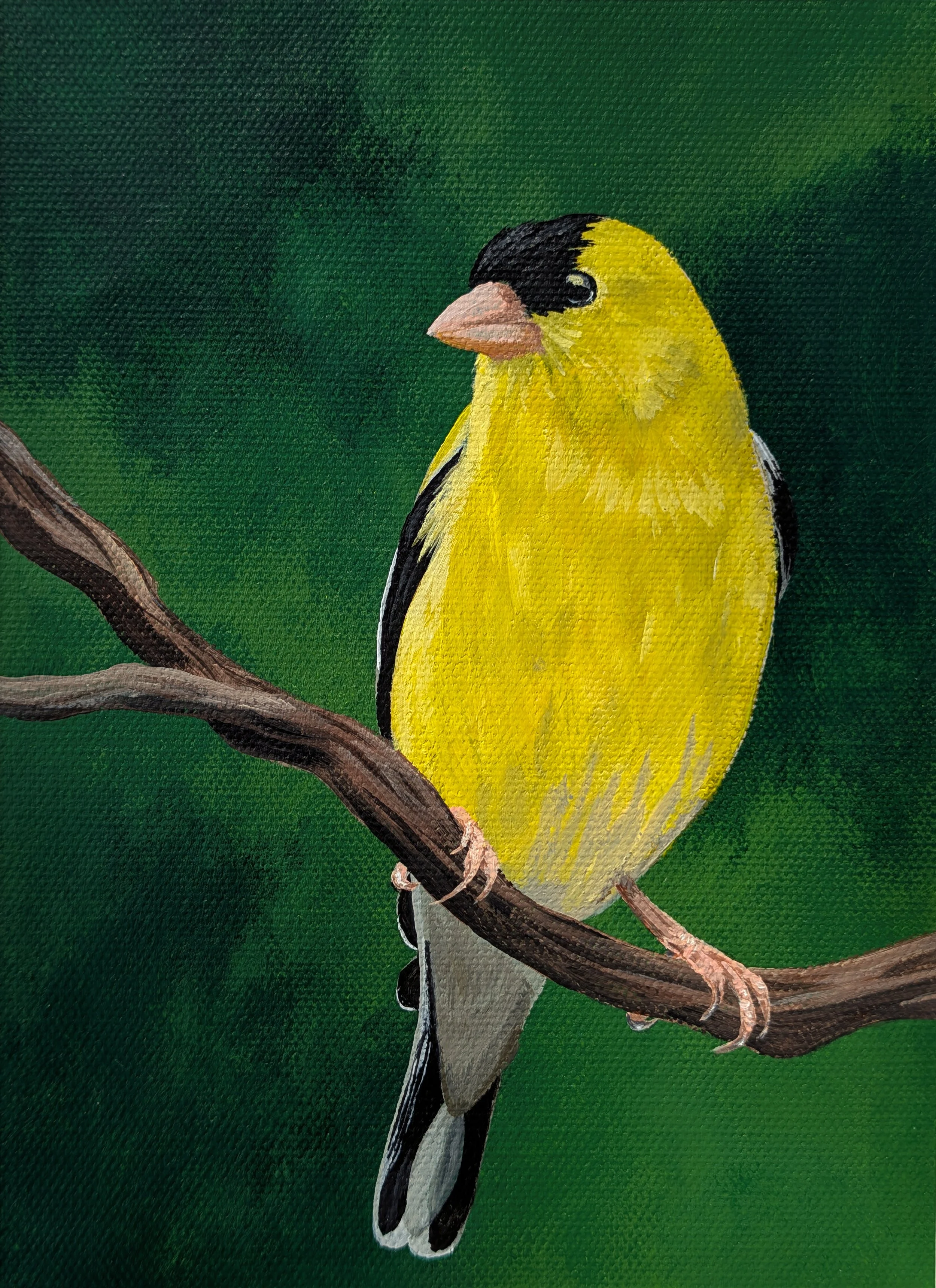 goldfinch