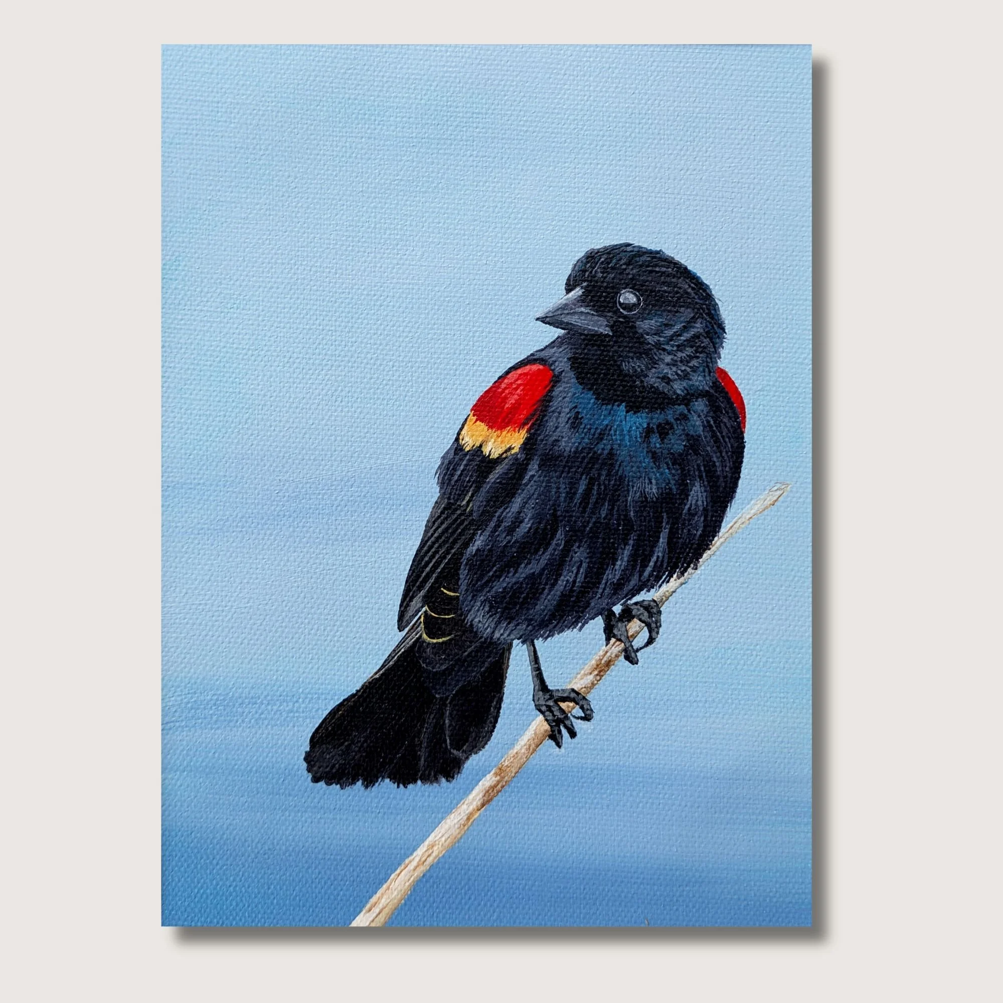 Blackbird Print Shop Img.jpg
