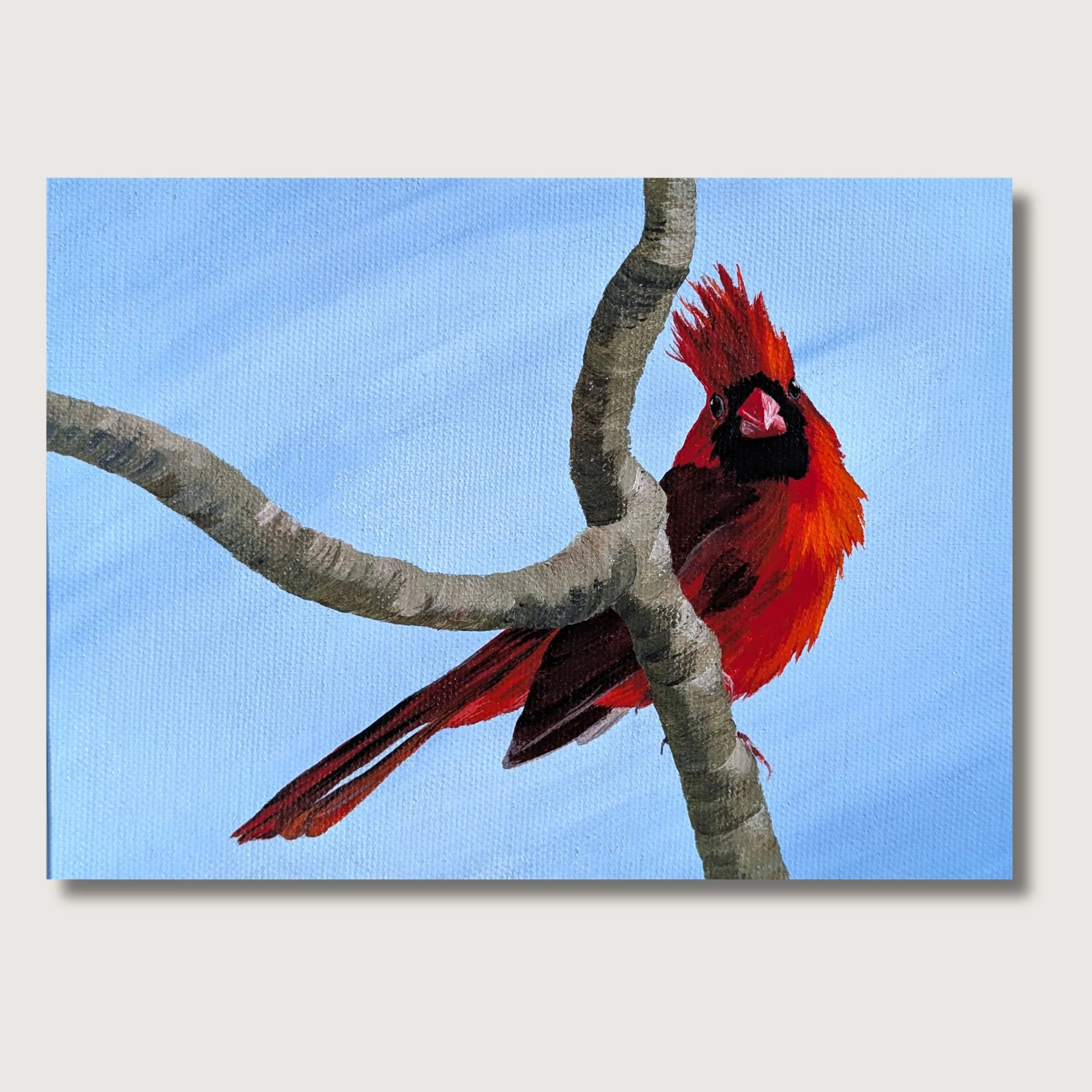 Cardinal Attitude Print Shop Img.jpg
