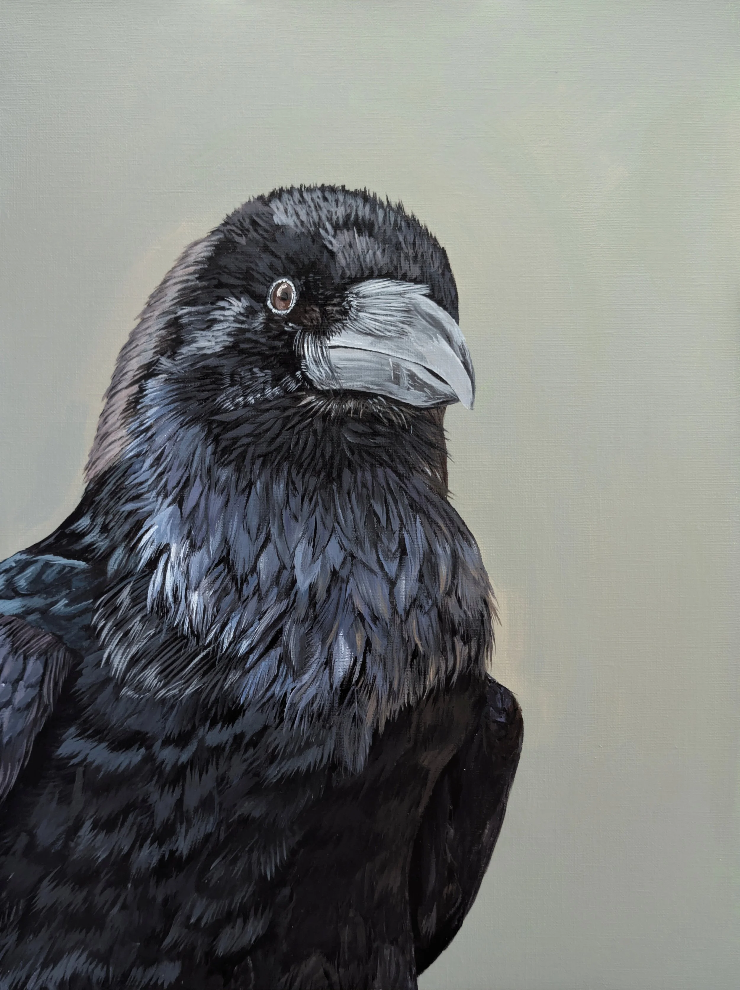tower raven