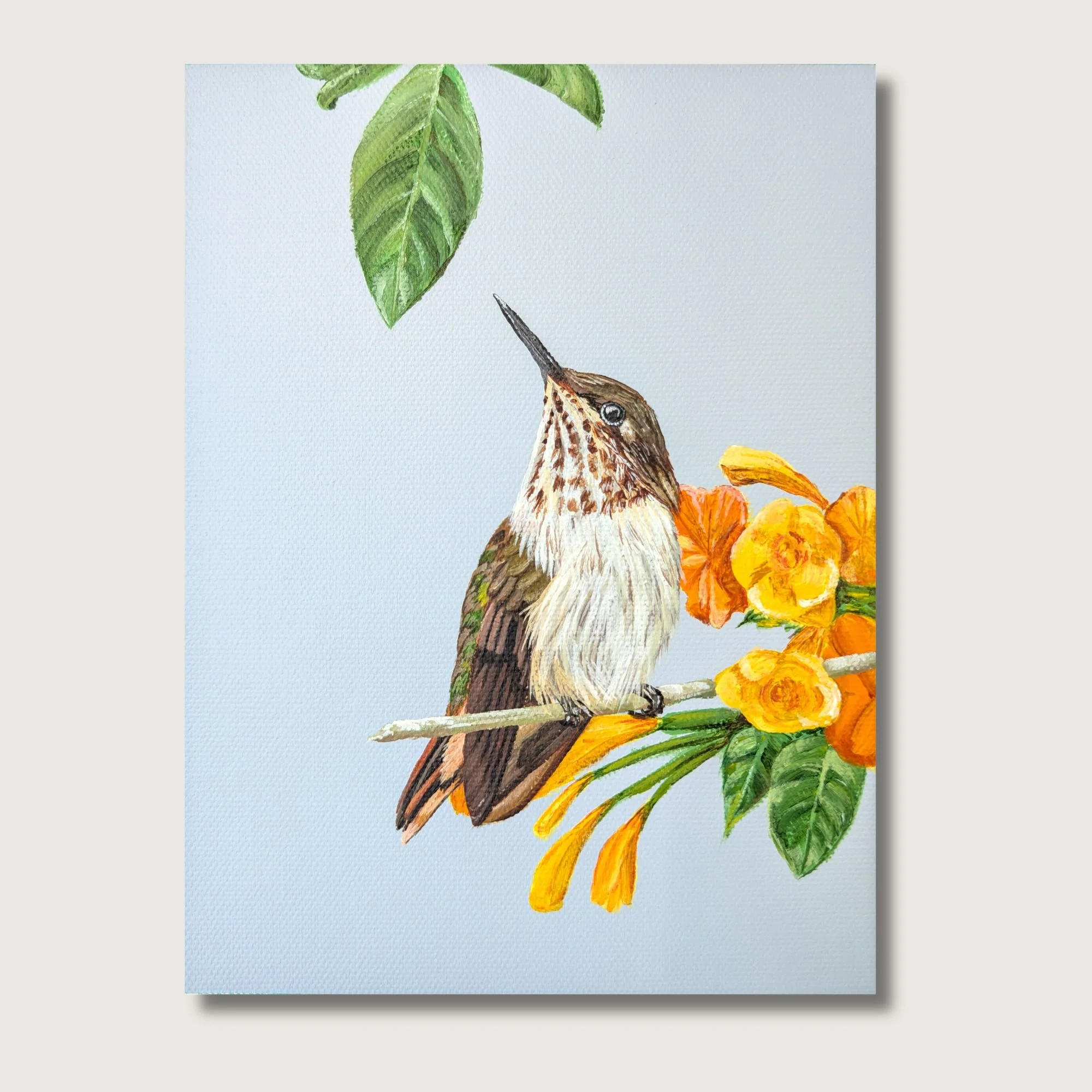 Volcano Hummingbird Print Shop Img.jpg