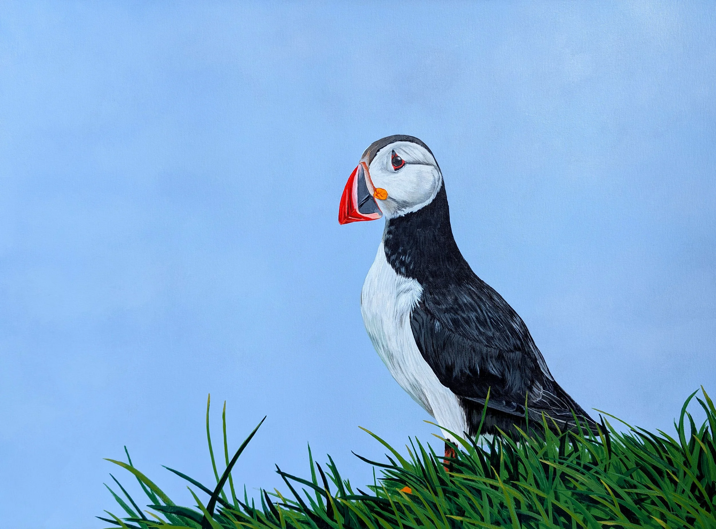 Cliffside Puffin Print.jpg