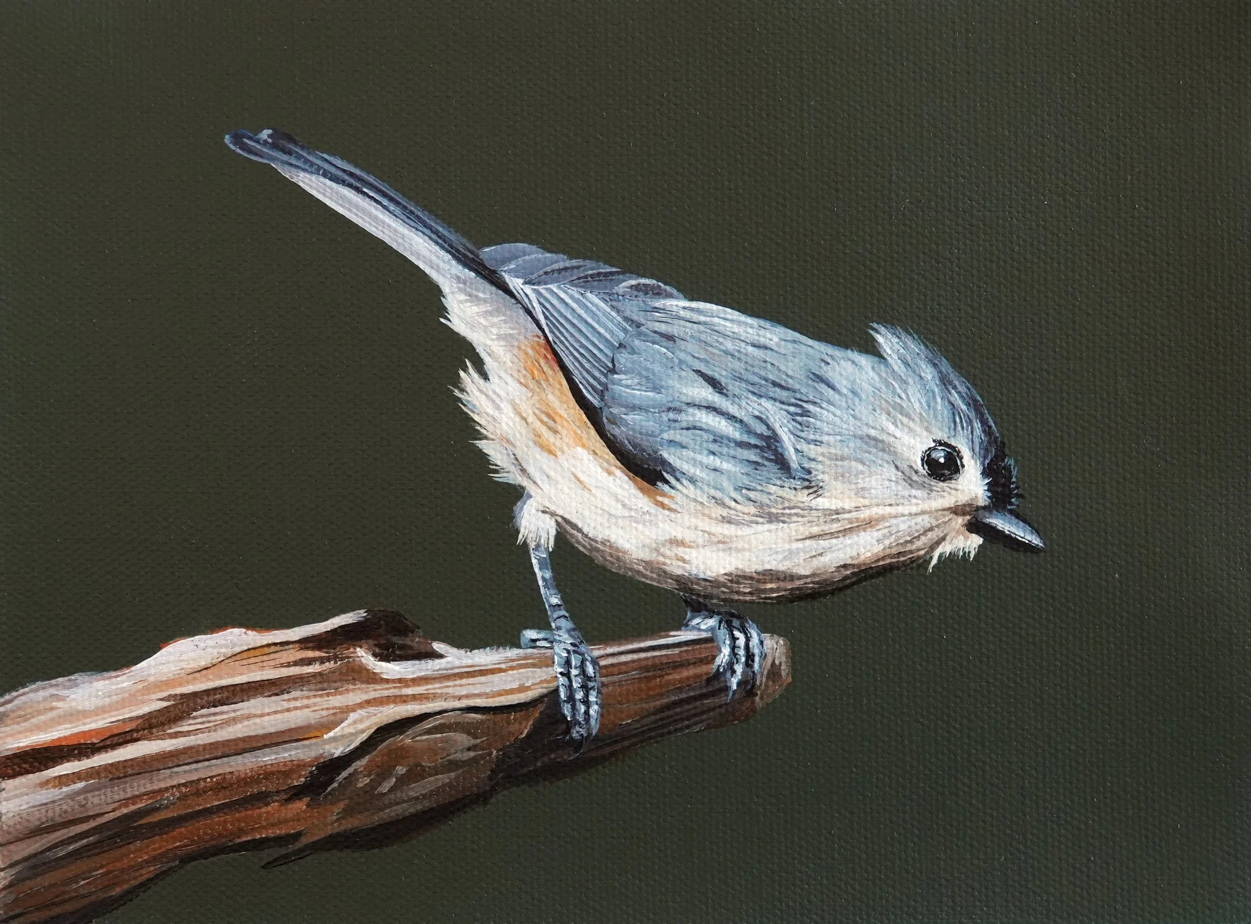 tufted titmouse painting
