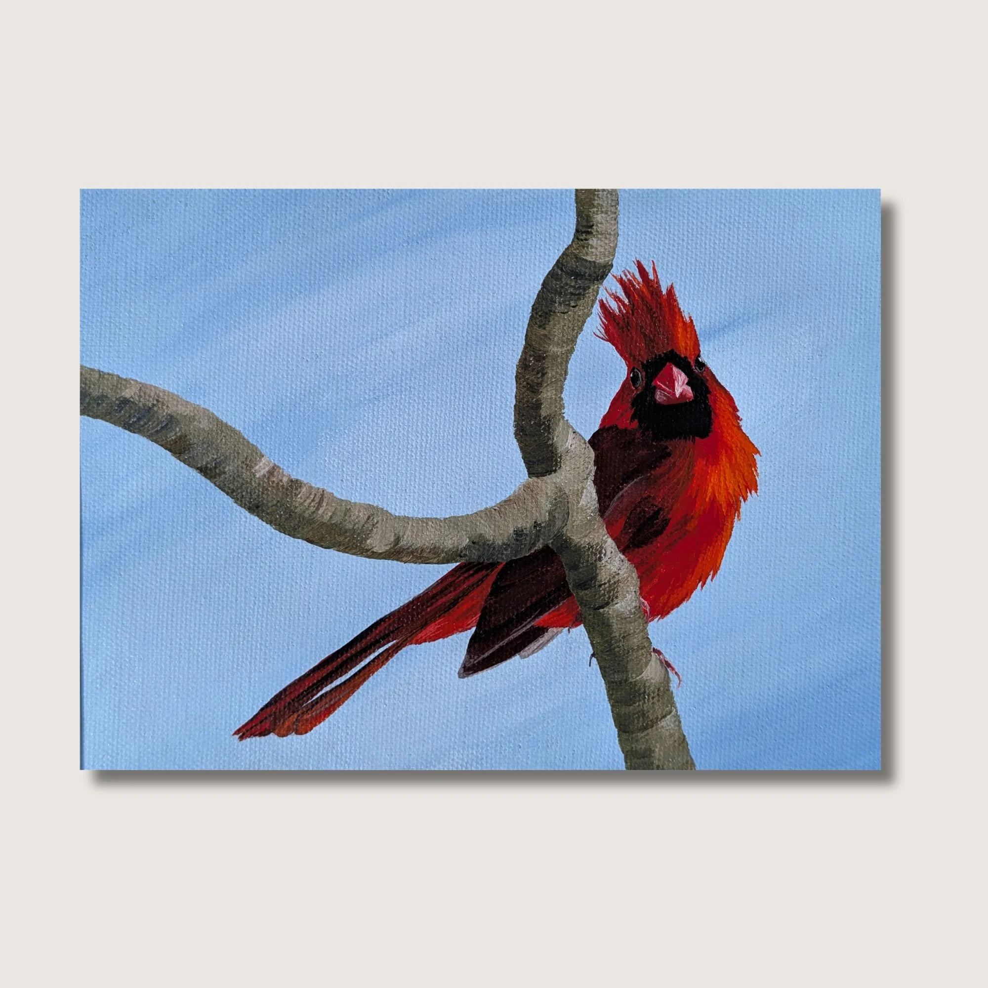 Cardinal Attitude Print Shop Img.jpg