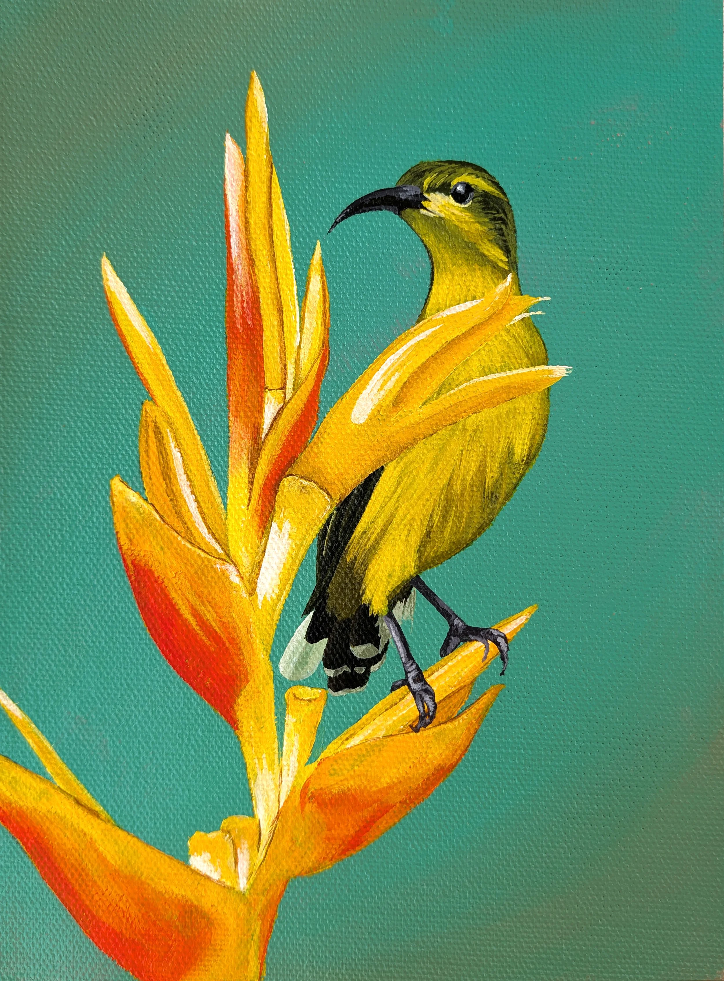 sunbird