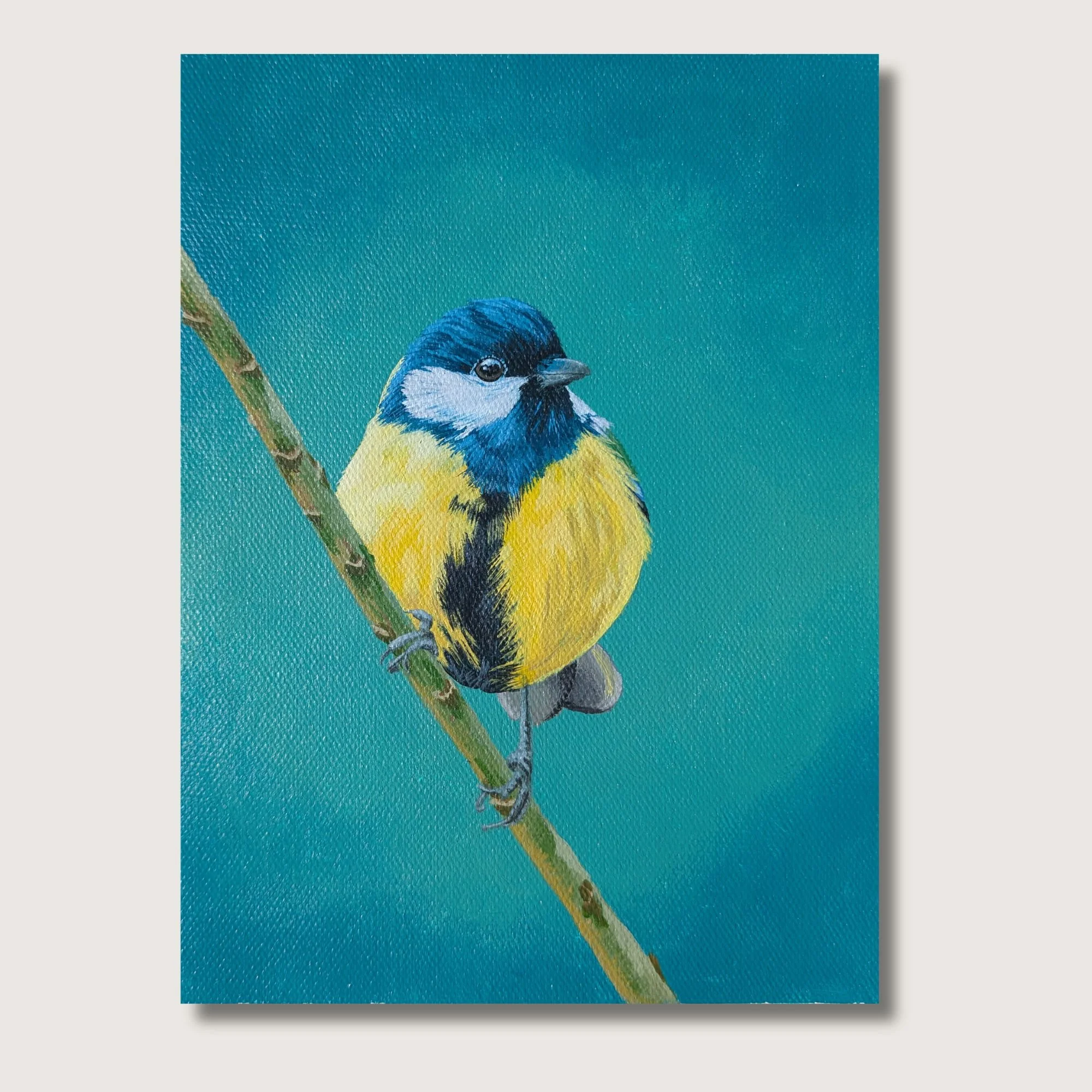 Blue Tit Print Shop Img.jpg