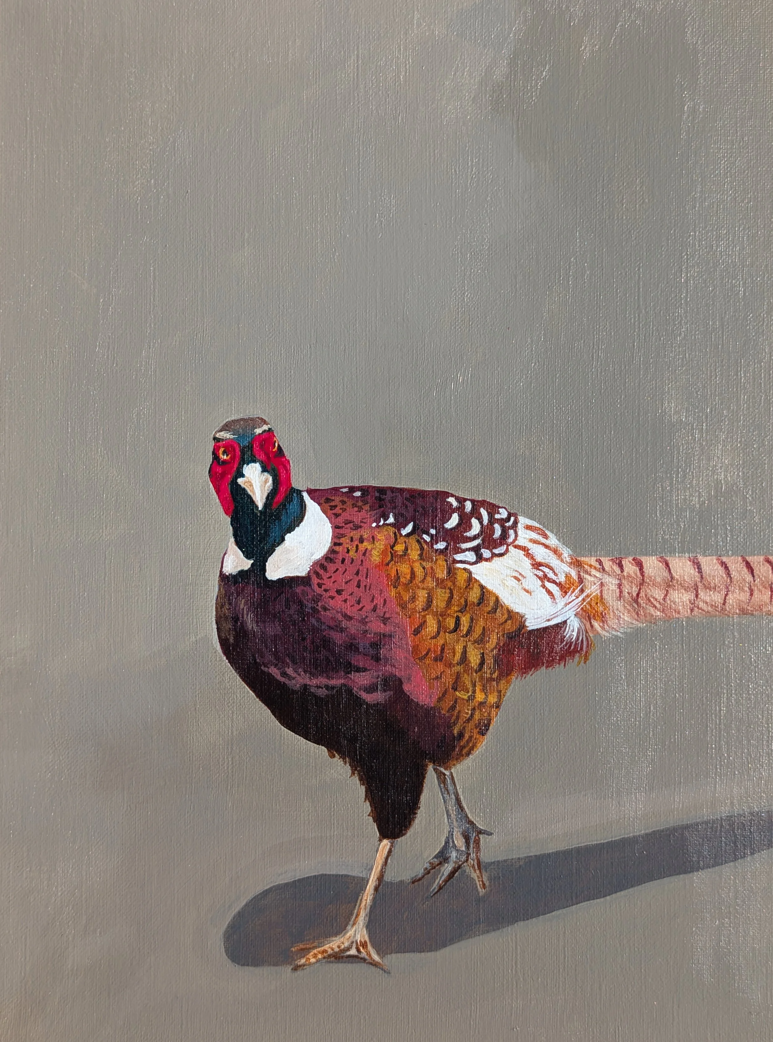 pheasant painting