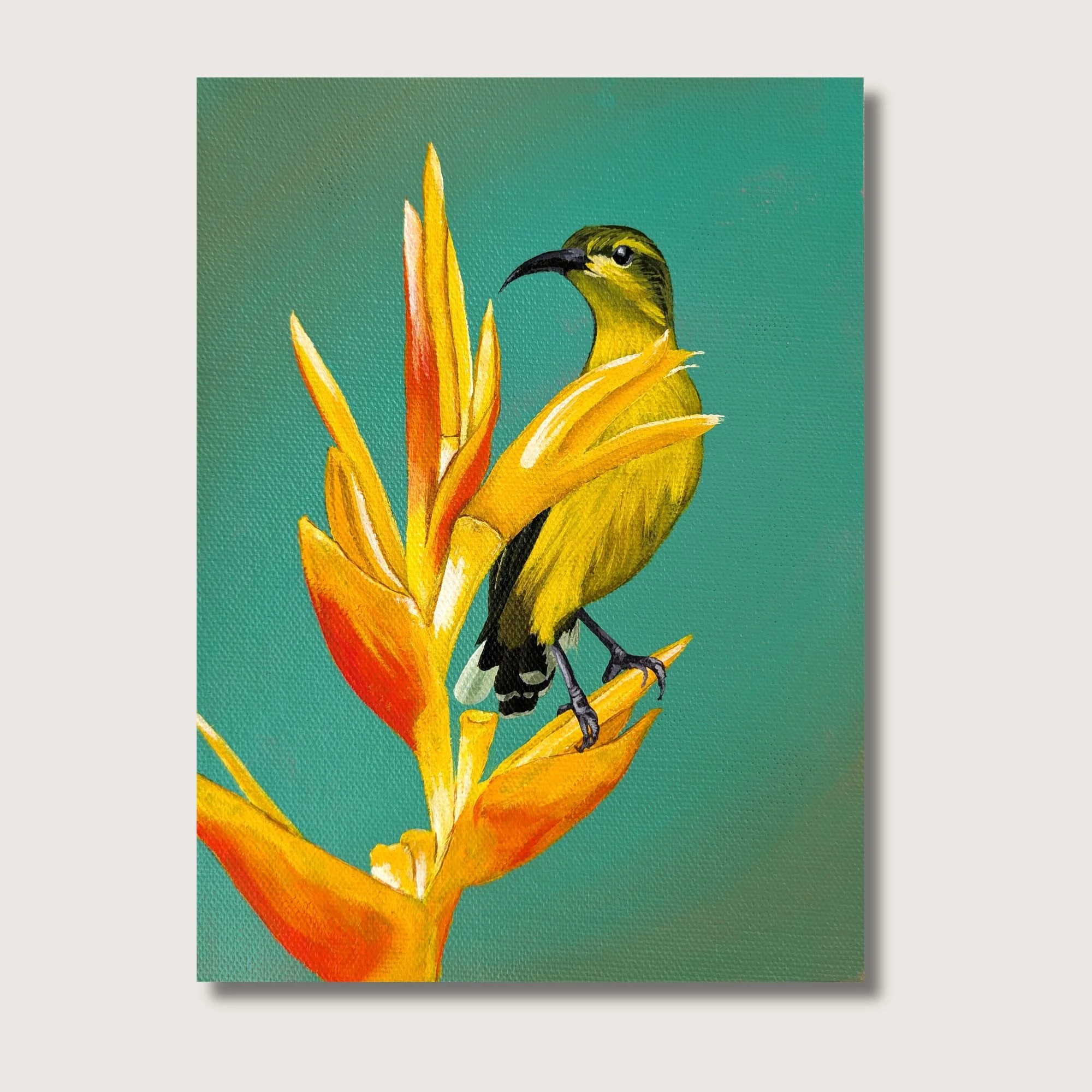 Sunbird Painting