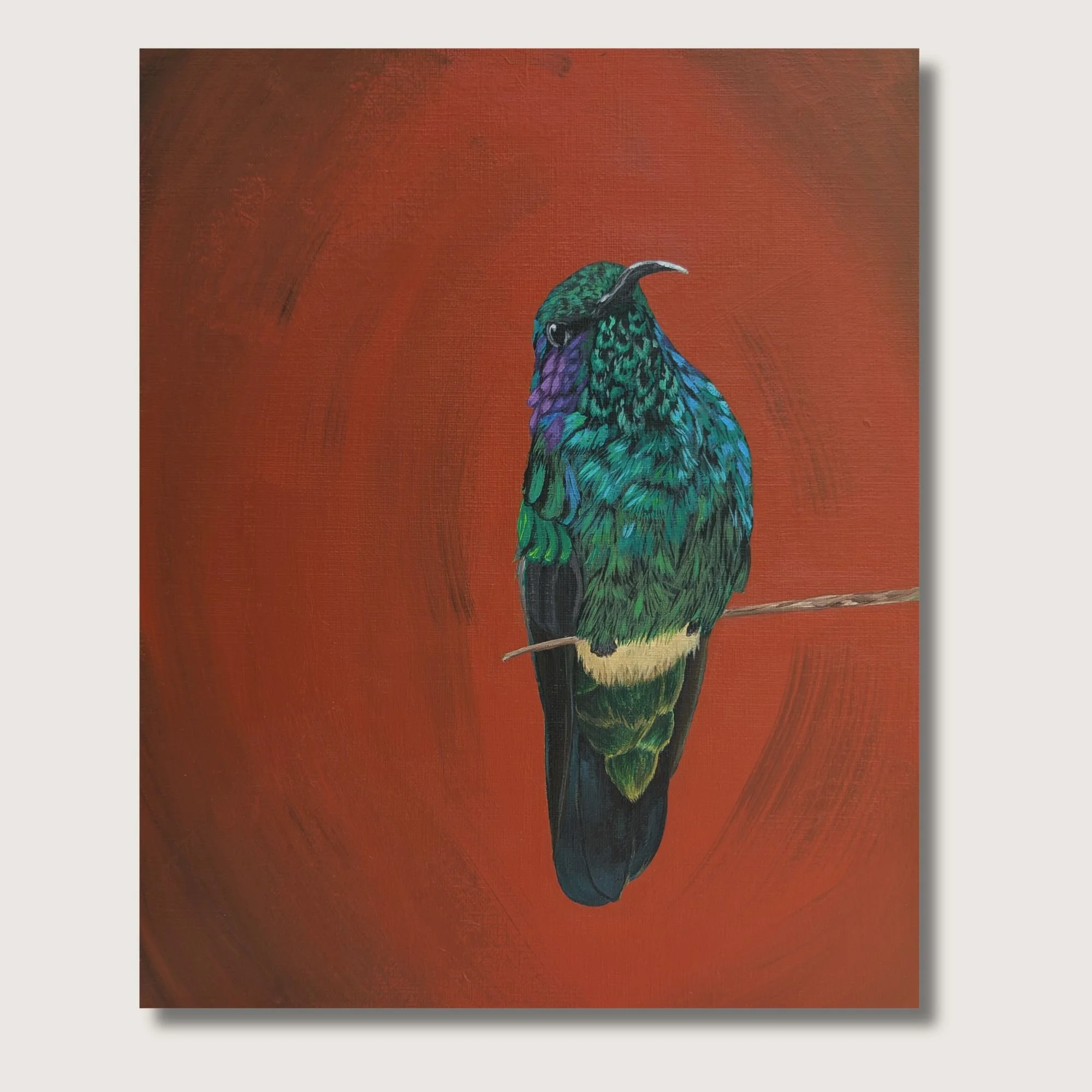 Violetear I Print Shop Img.jpg