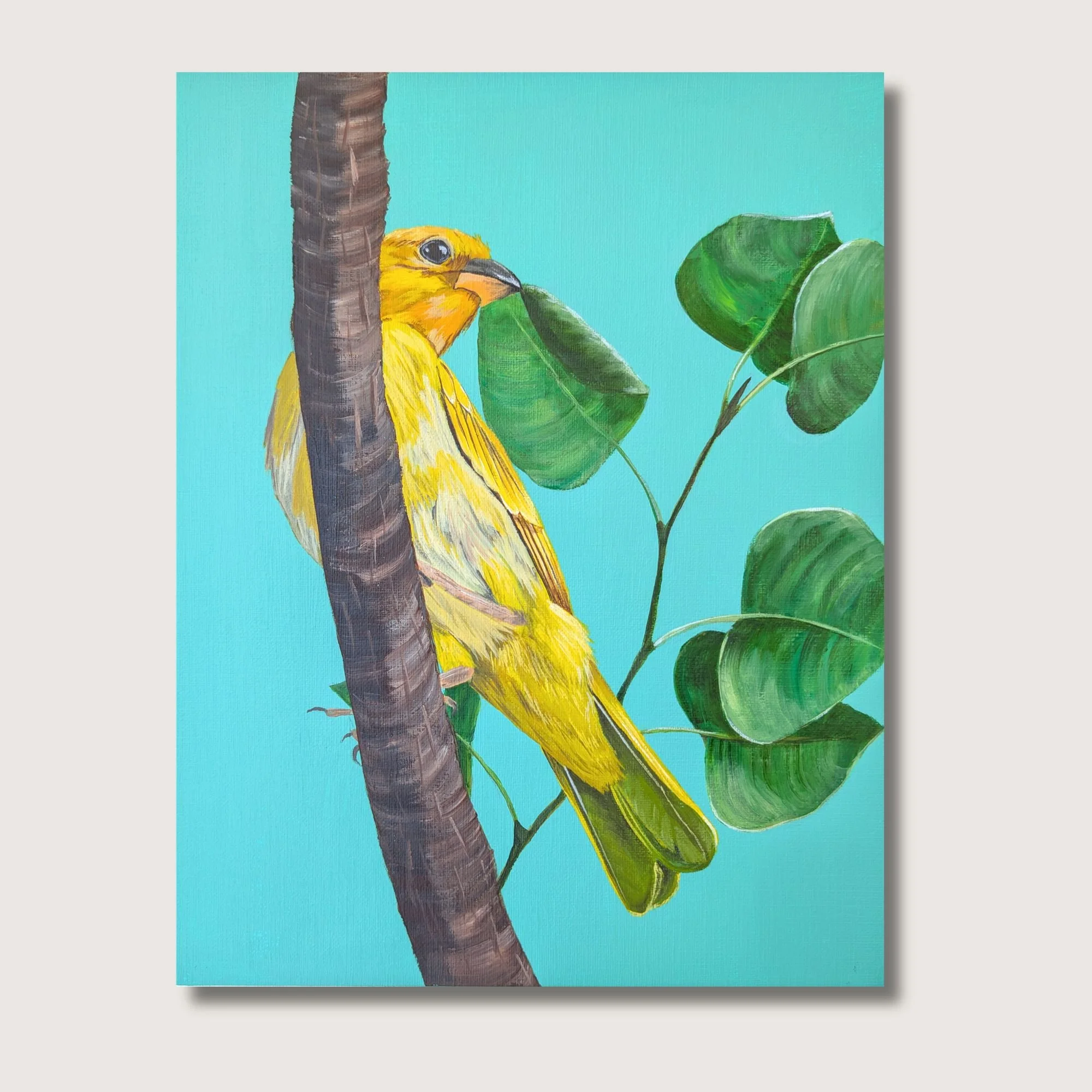 Safron Finch Print Shop Img.jpg