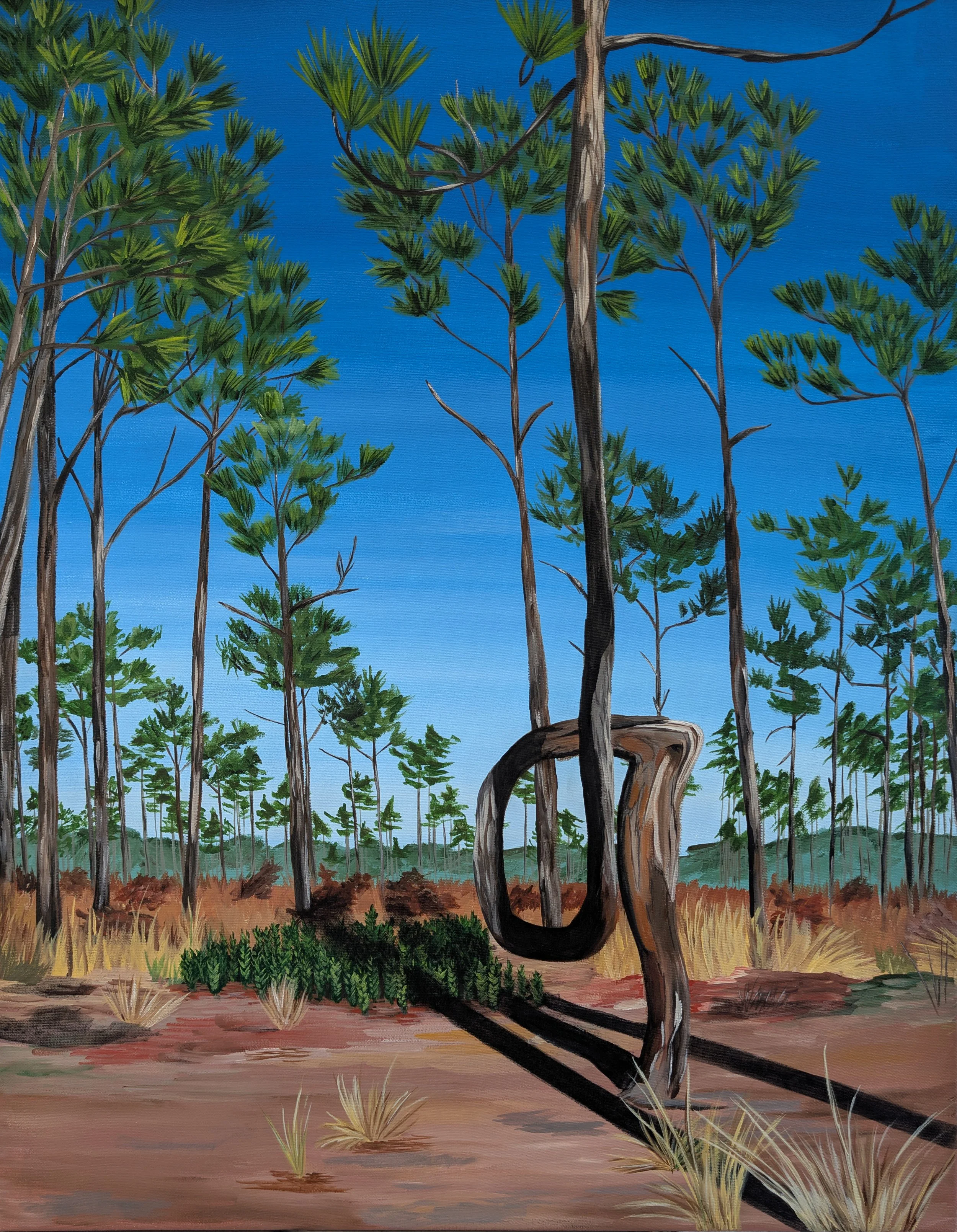 longleaf pine