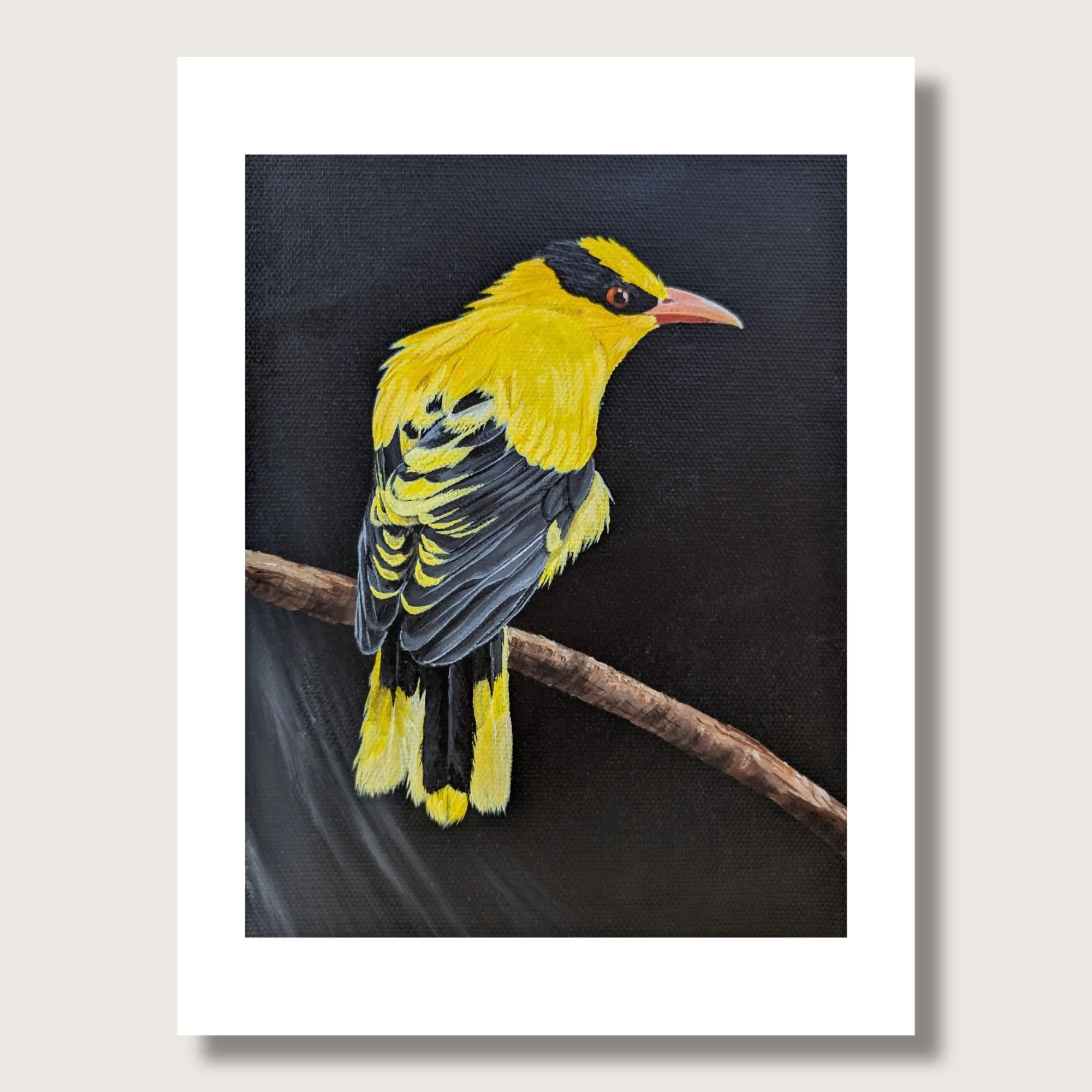 Black-Naped Oriole Painting