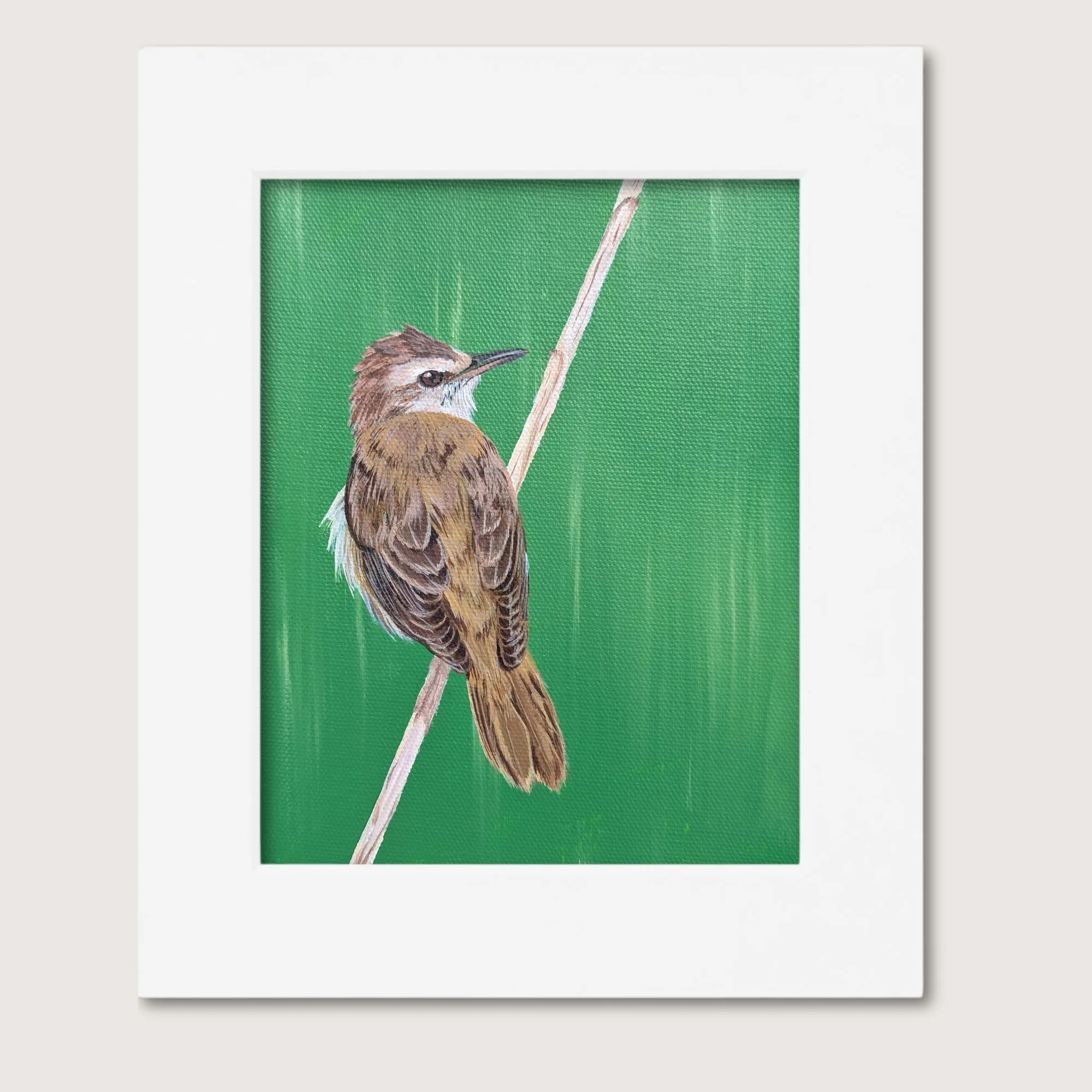 Reed Warbler Bird Painting