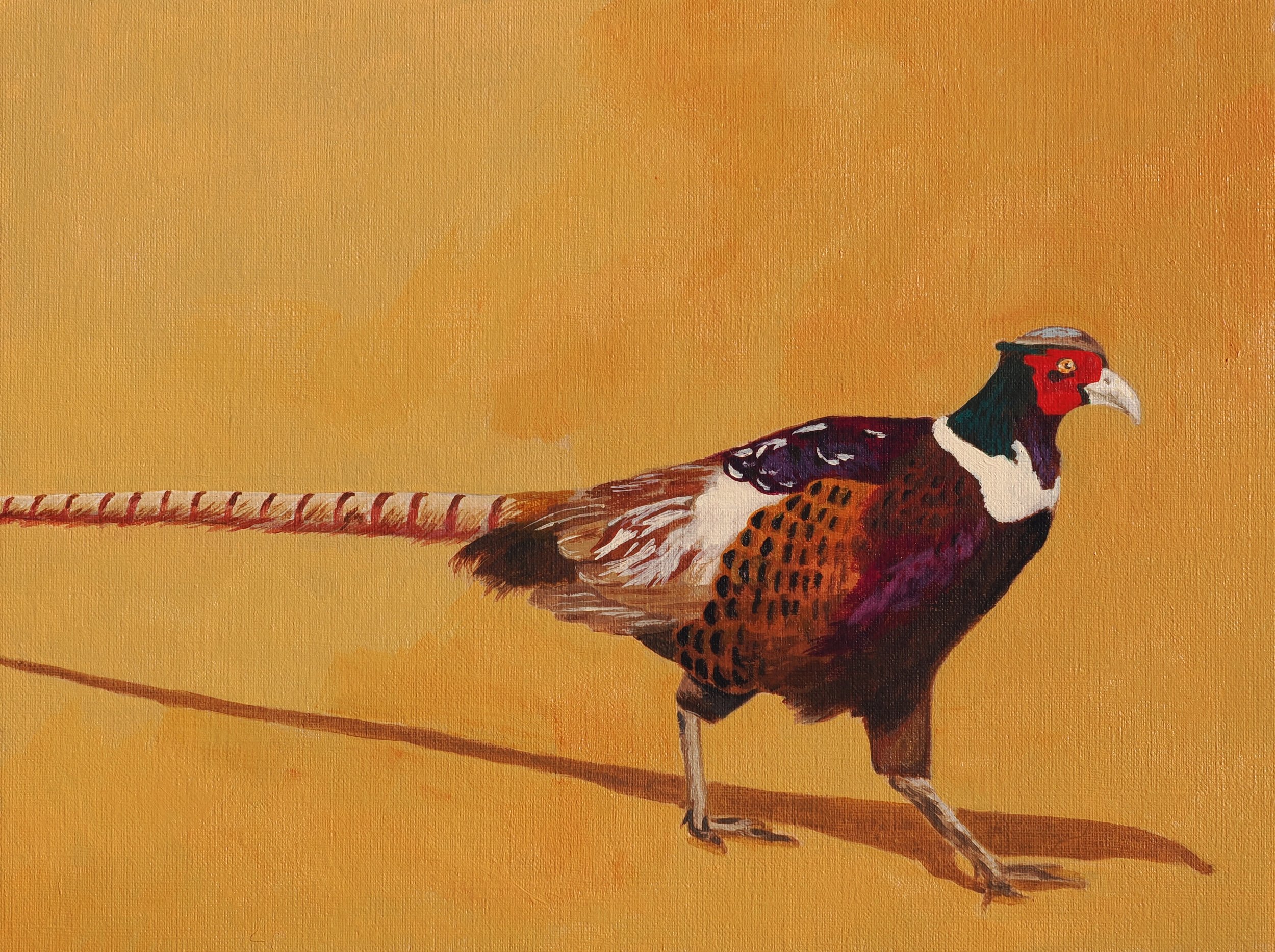 Pheasant Painting