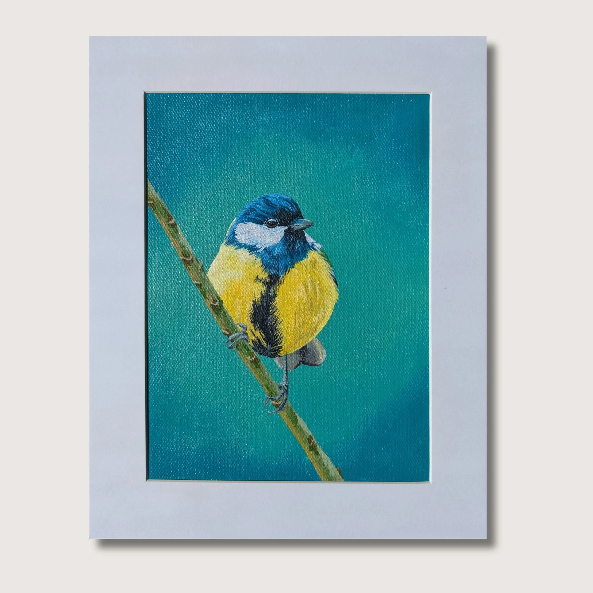 Blue Tit Original Shop Img.jpg
