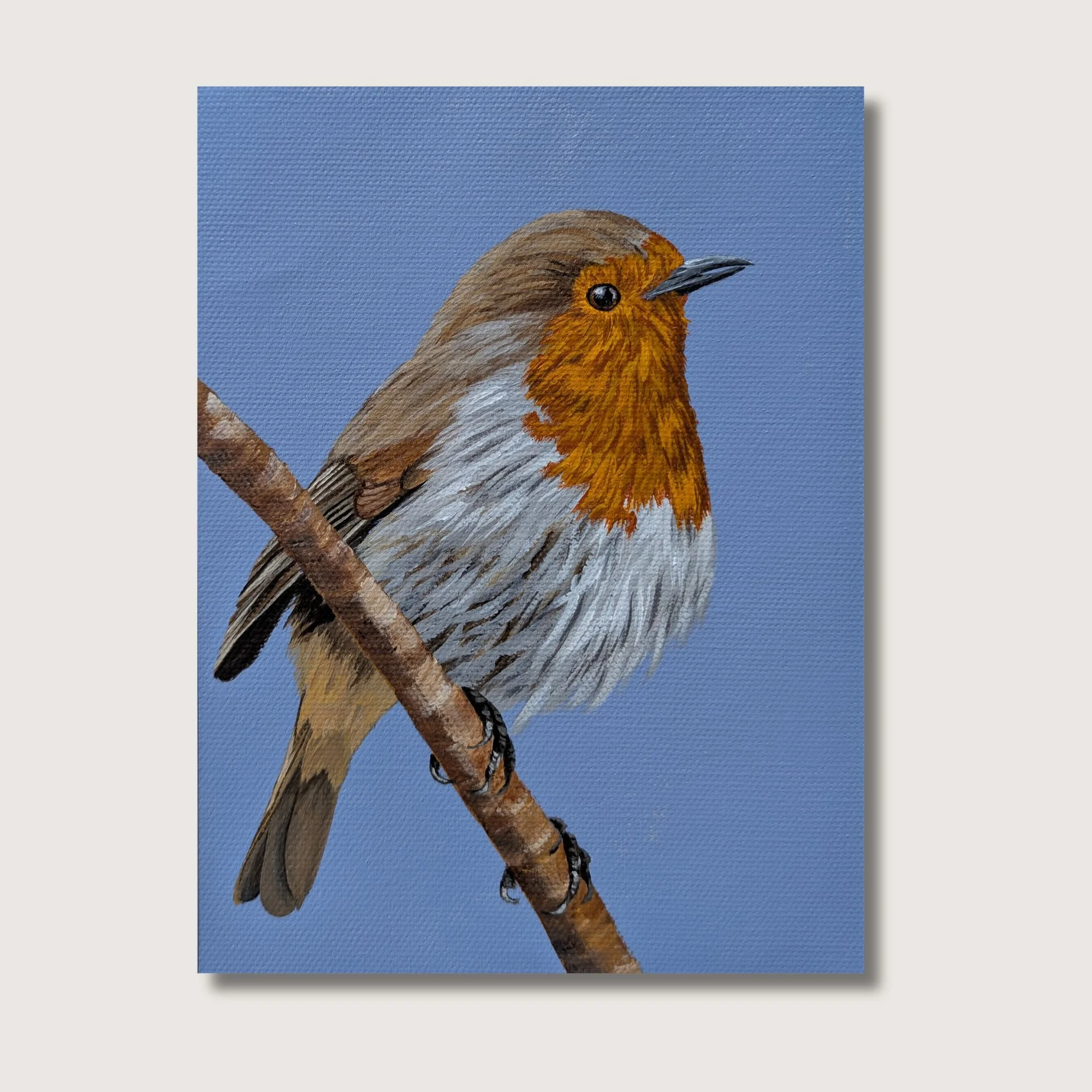 Euro Robin Print Shop Img.jpg
