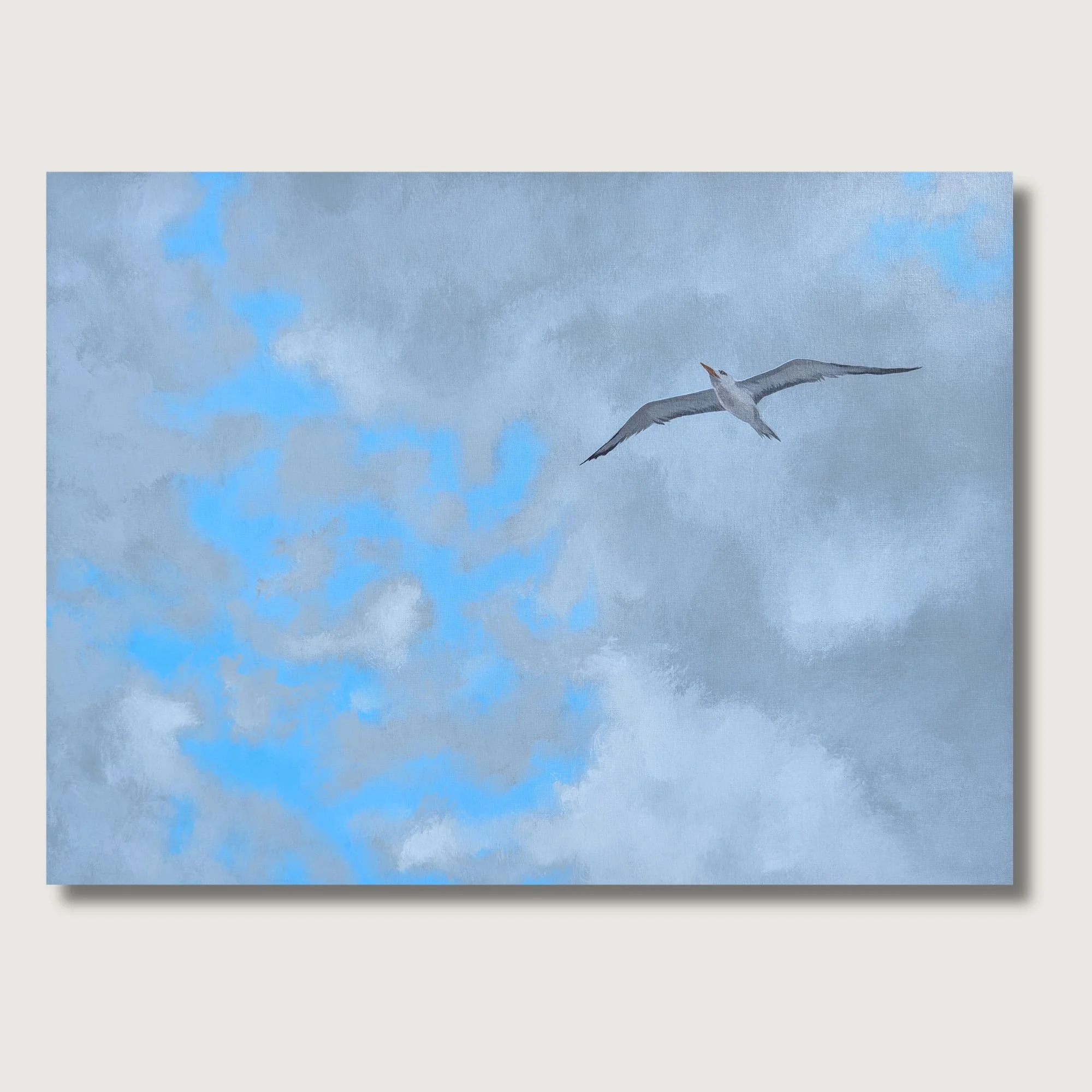 Soaring Tern Print Shop Img.jpg