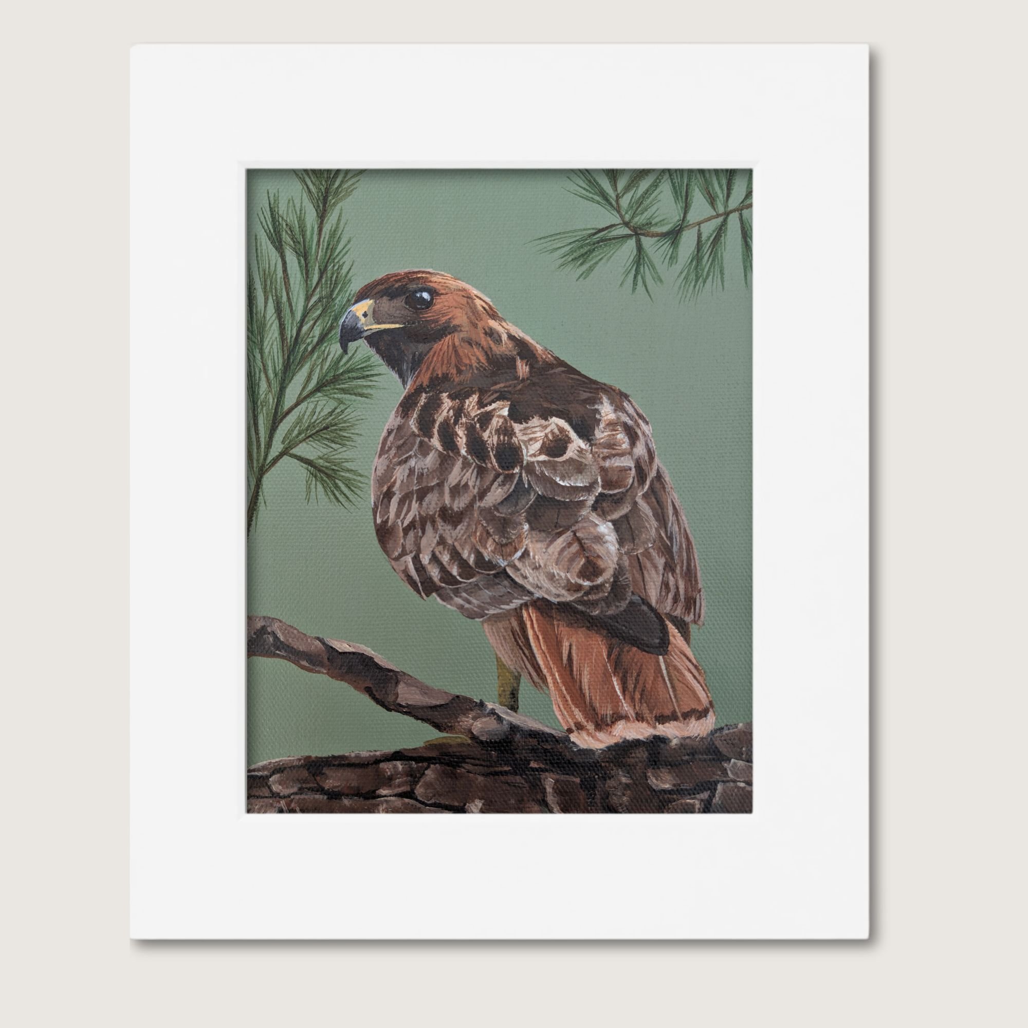Red-Tailed Hawk Painting