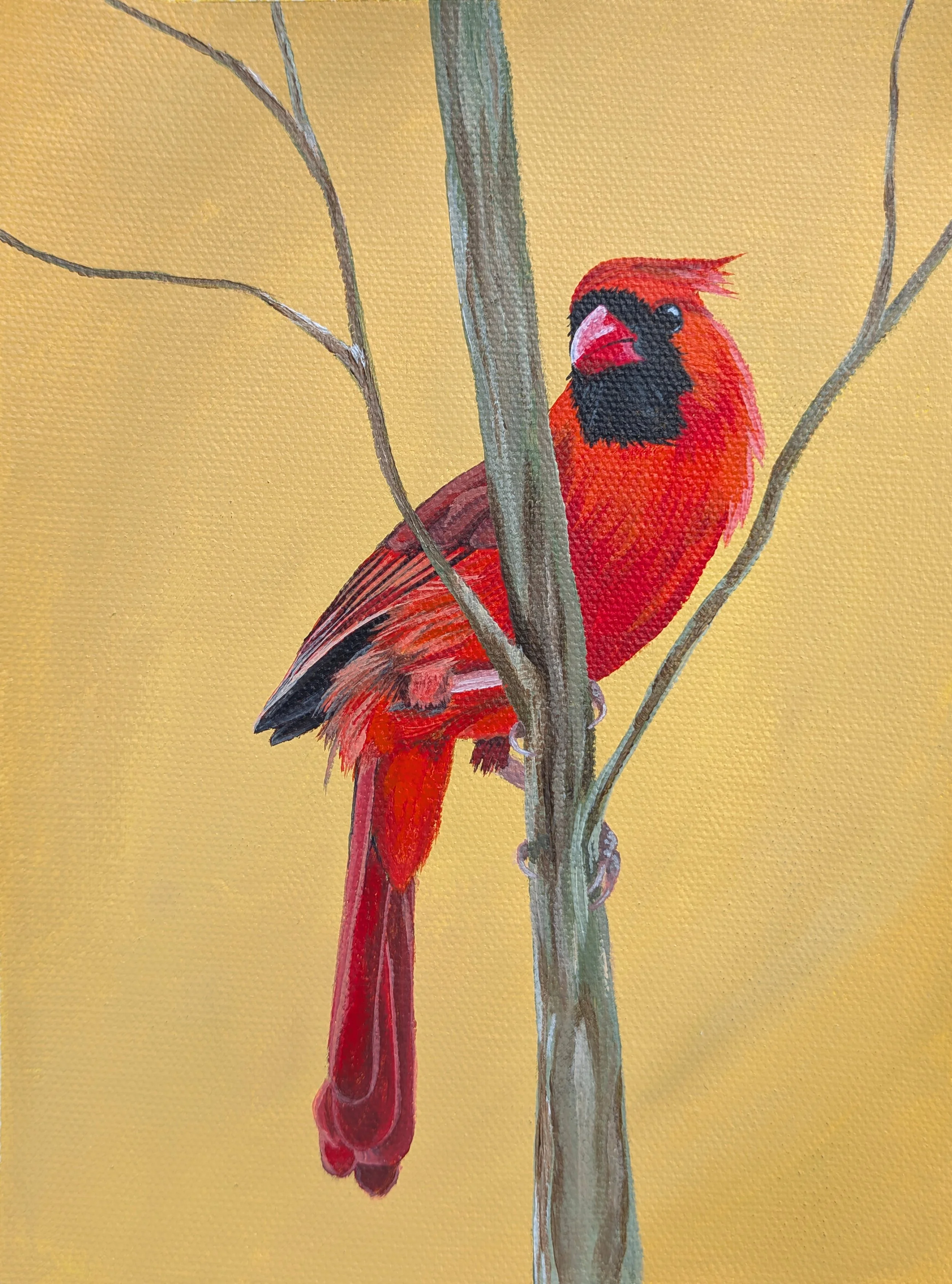 cardinal painting