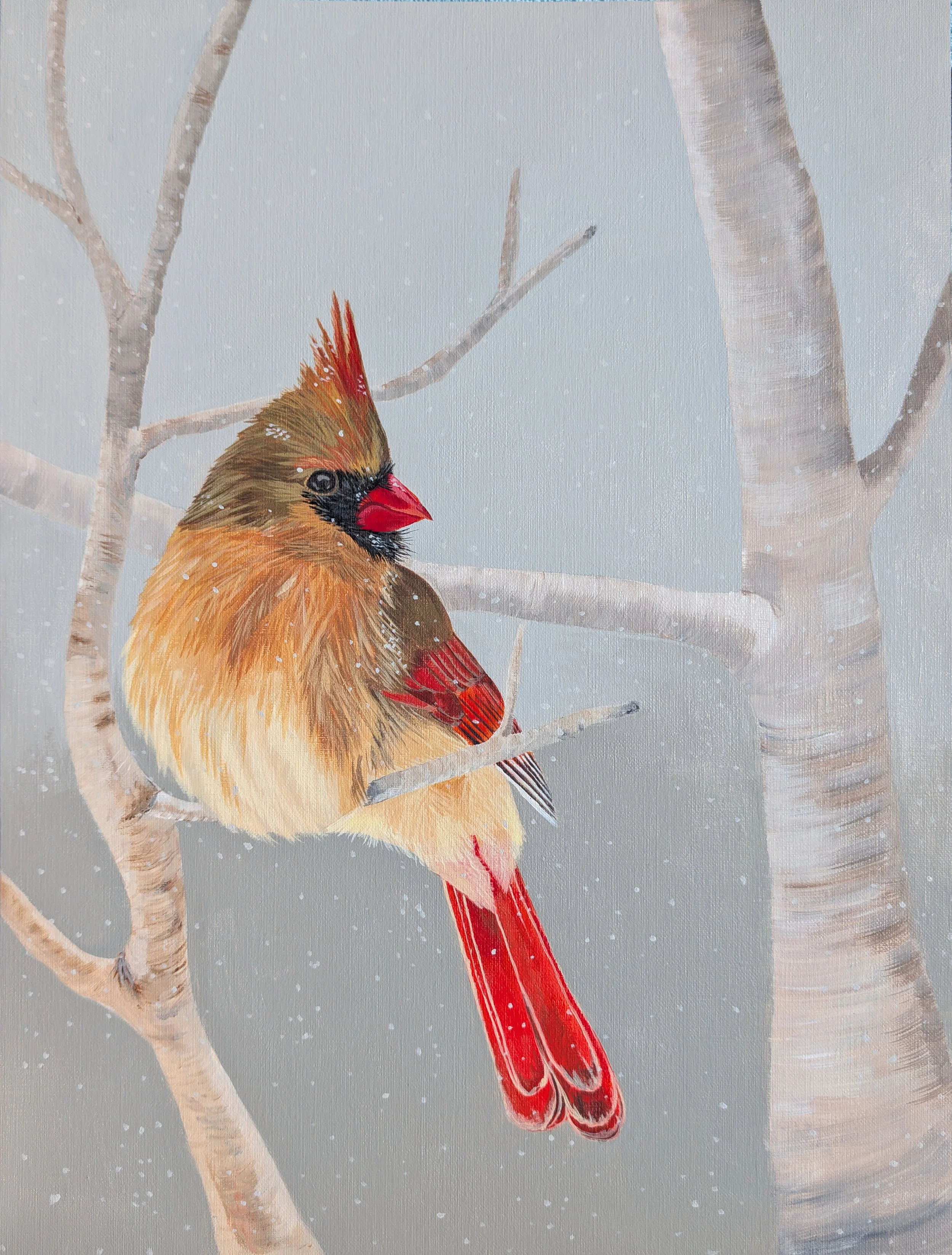 Winter Cardinal Print.jpg
