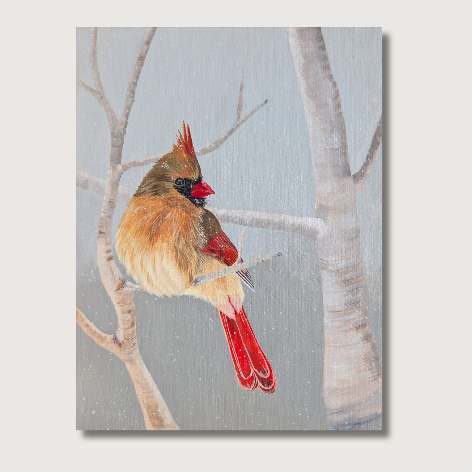 Winter Cardinal Print Shop Img.jpg