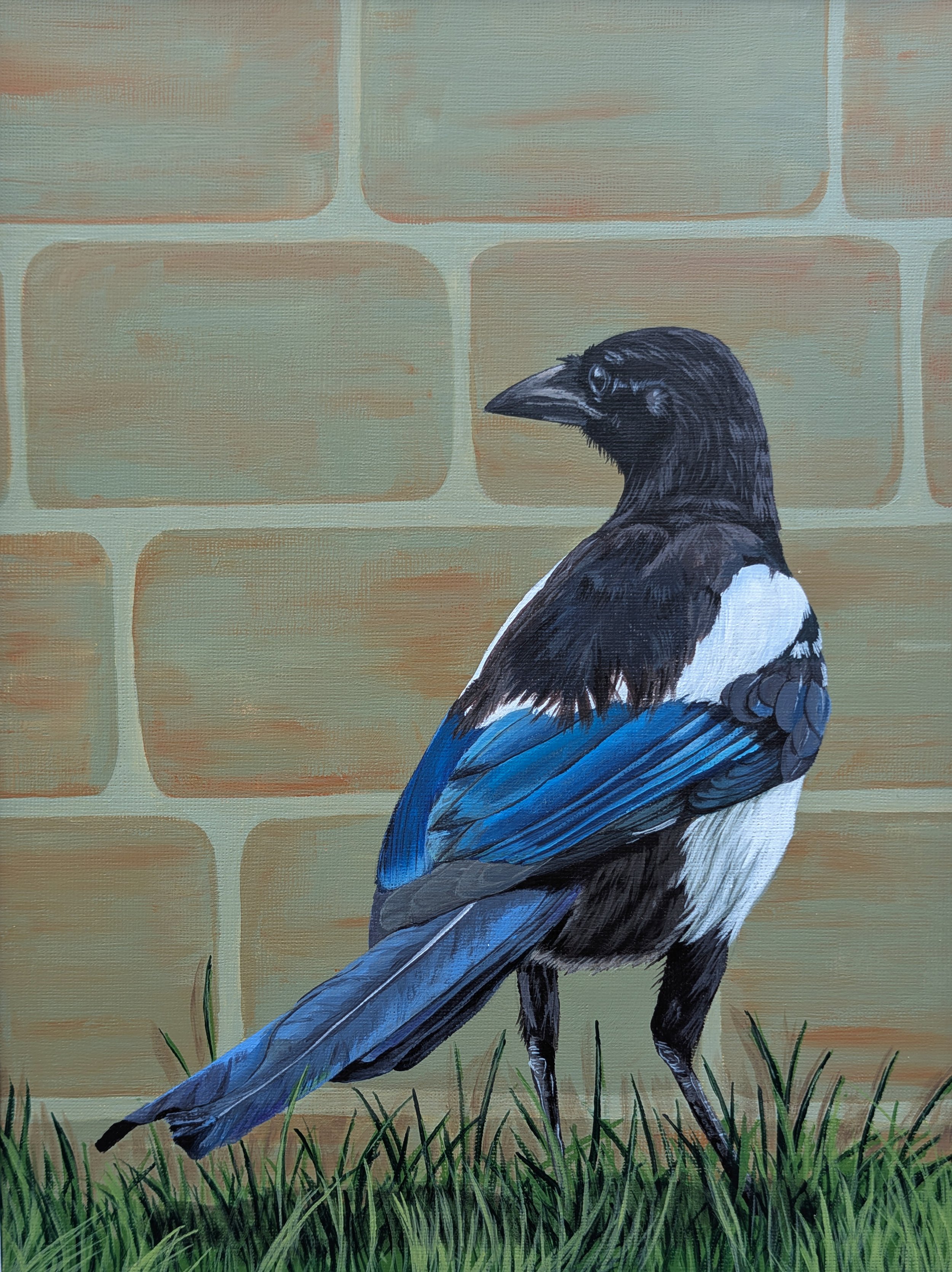 magpie panting