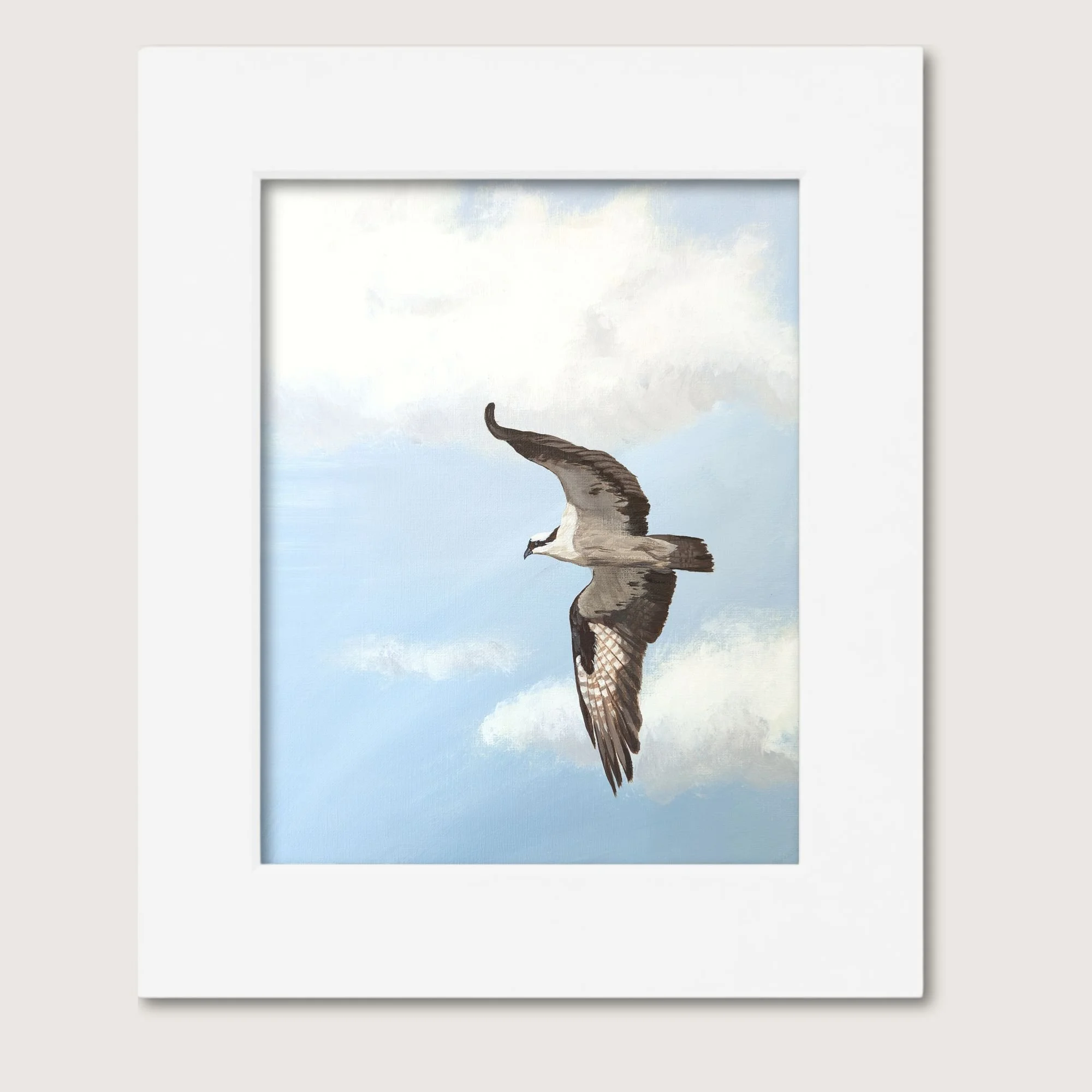 Osprey Matted Shop Img.jpg