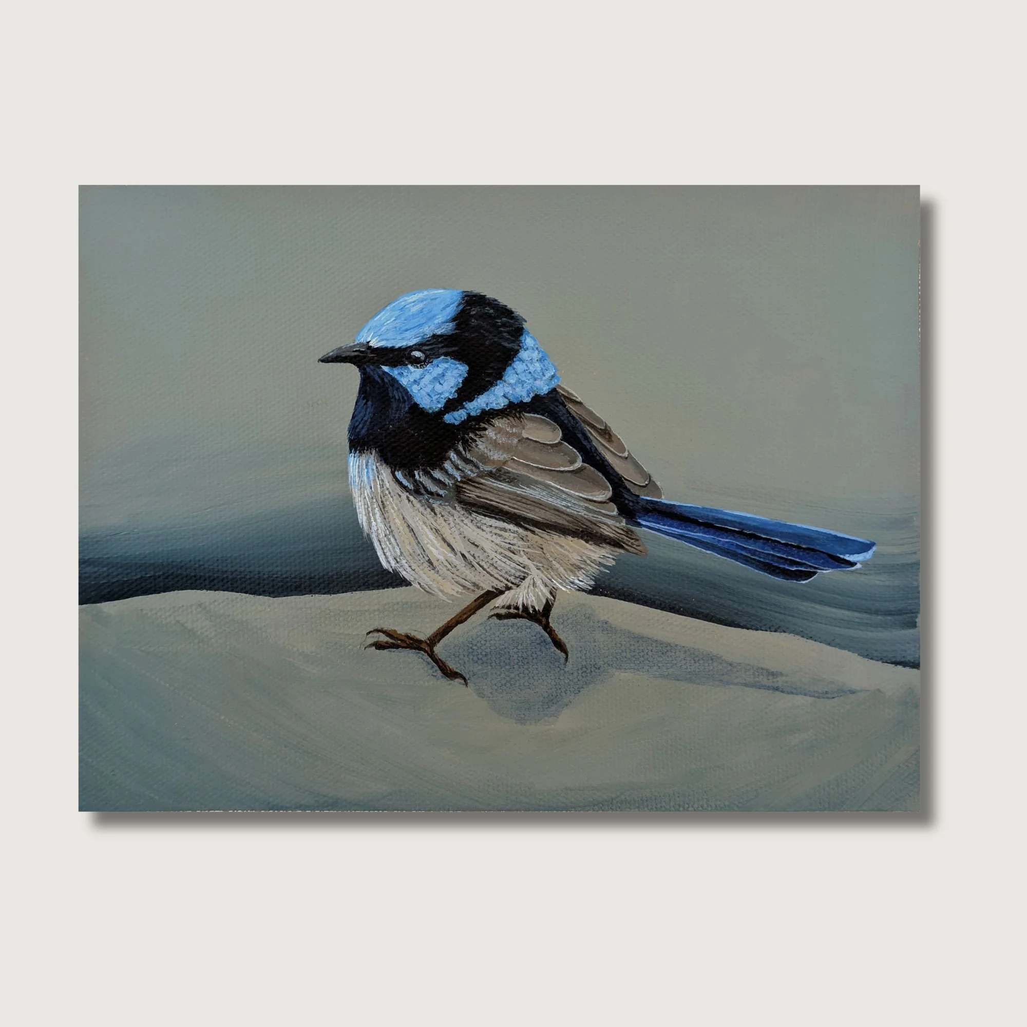 Fairy Wren Print Shop Img.jpg