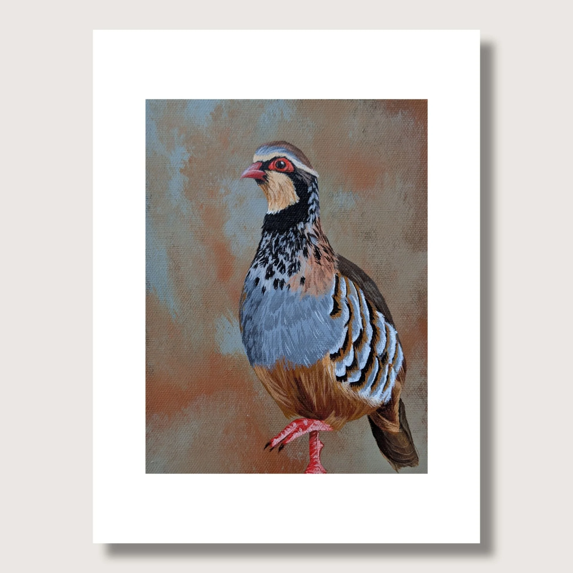 Red-Legged Partridge Painting