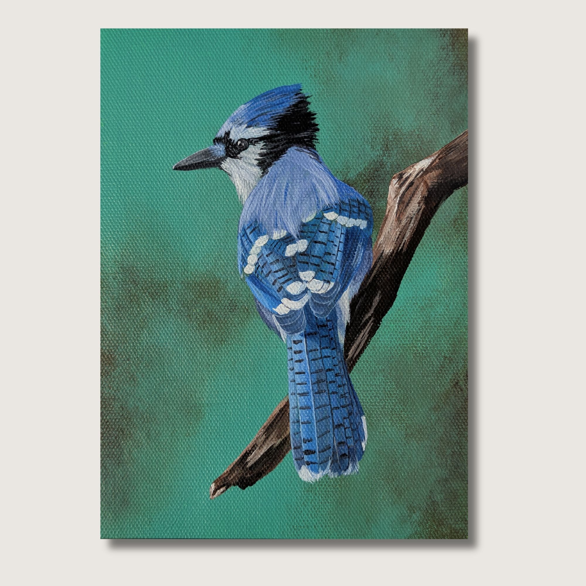 Perched Blue Jay Print Shop Img.jpg