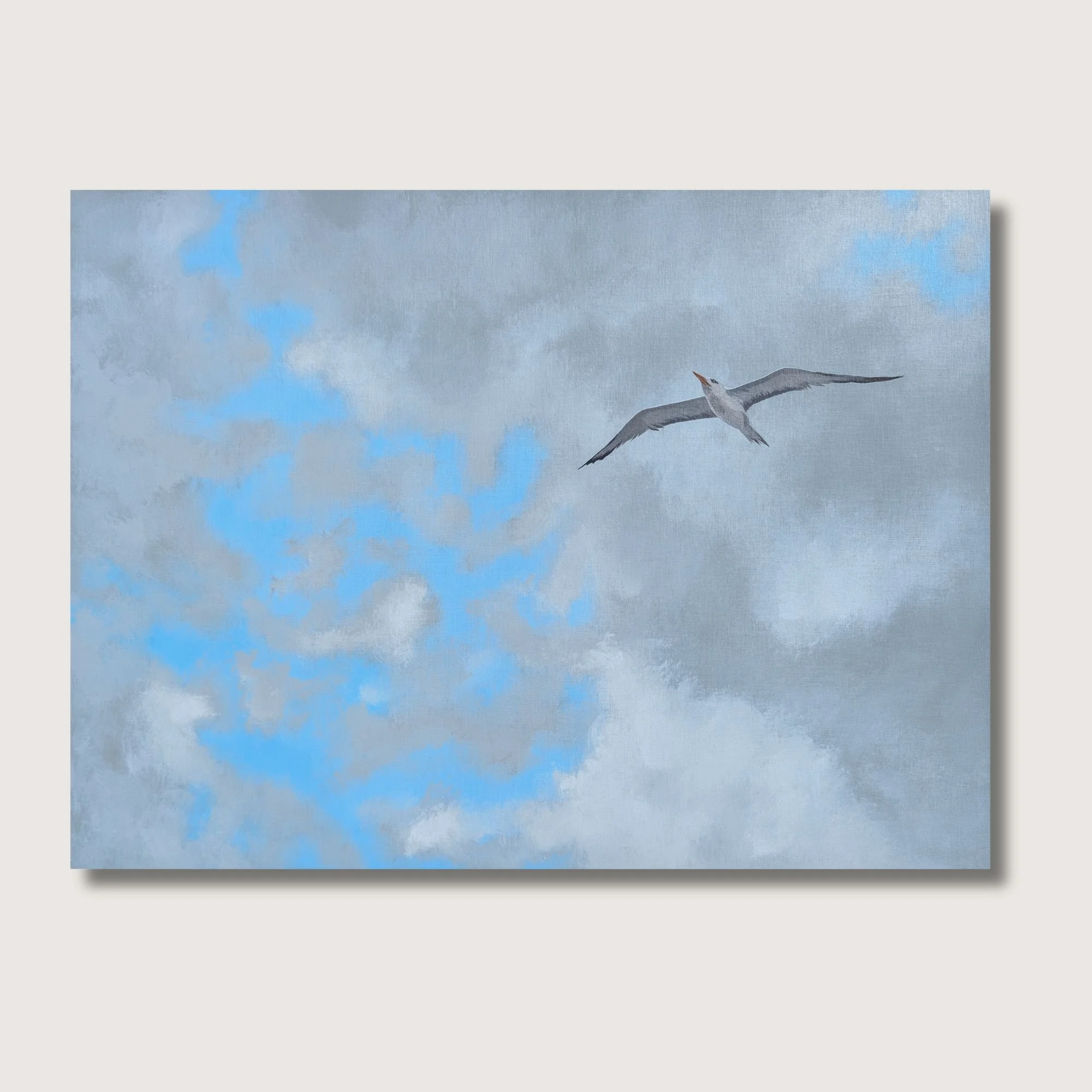 Soaring Tern Print Shop Img.jpg