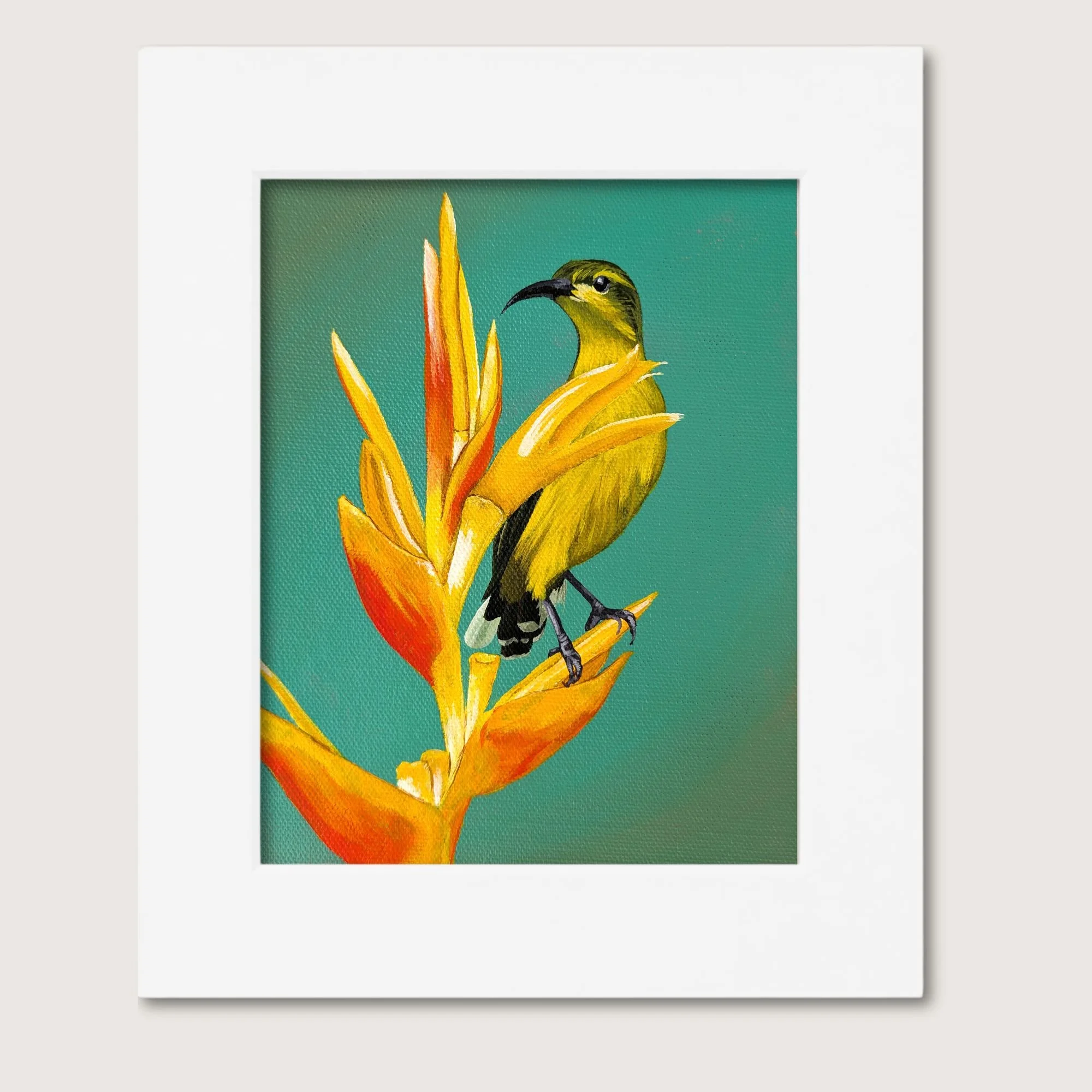 Sunbird Painting