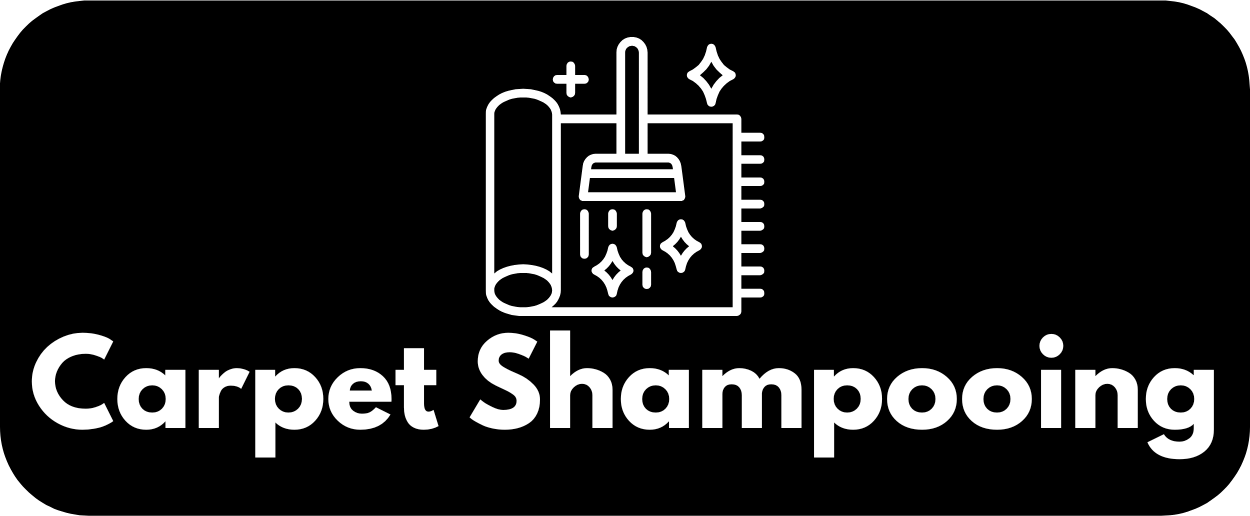 Logo for carpet shampooing with a carpet extractor, extracting a carpet indicating an aircraft carpet shampooing service offered by Pure Aviation Detailing.