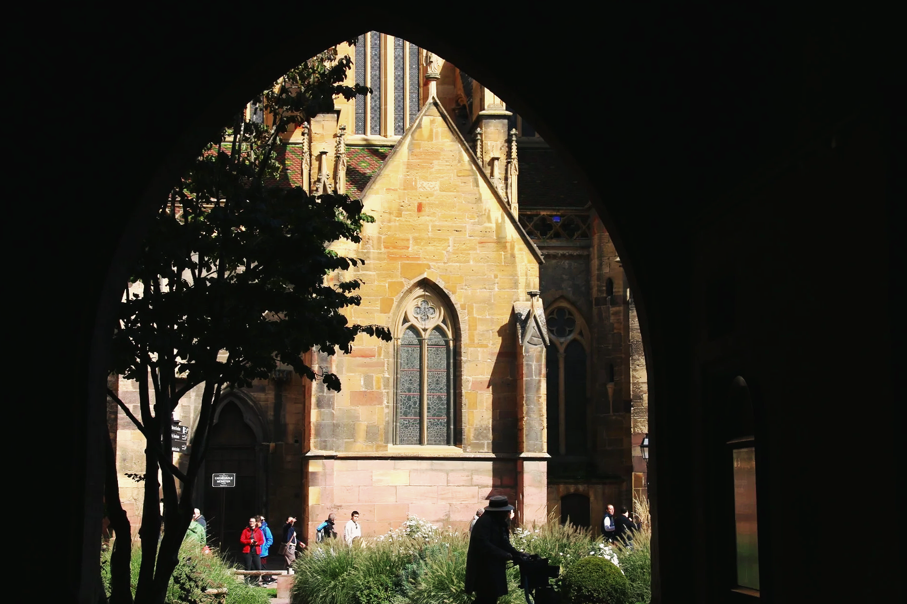 IMG_0377.png