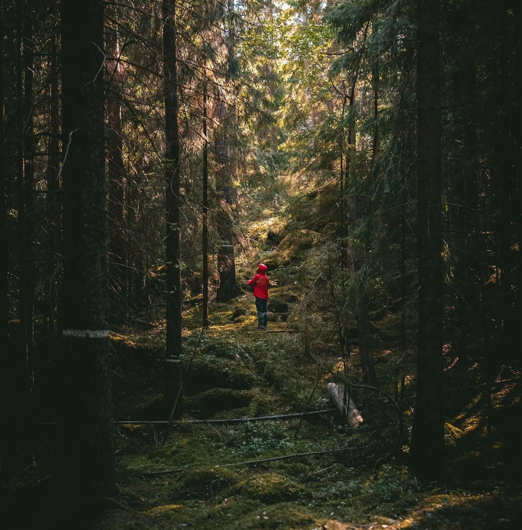 Travel in Style: Top Women’s Rain Jackets