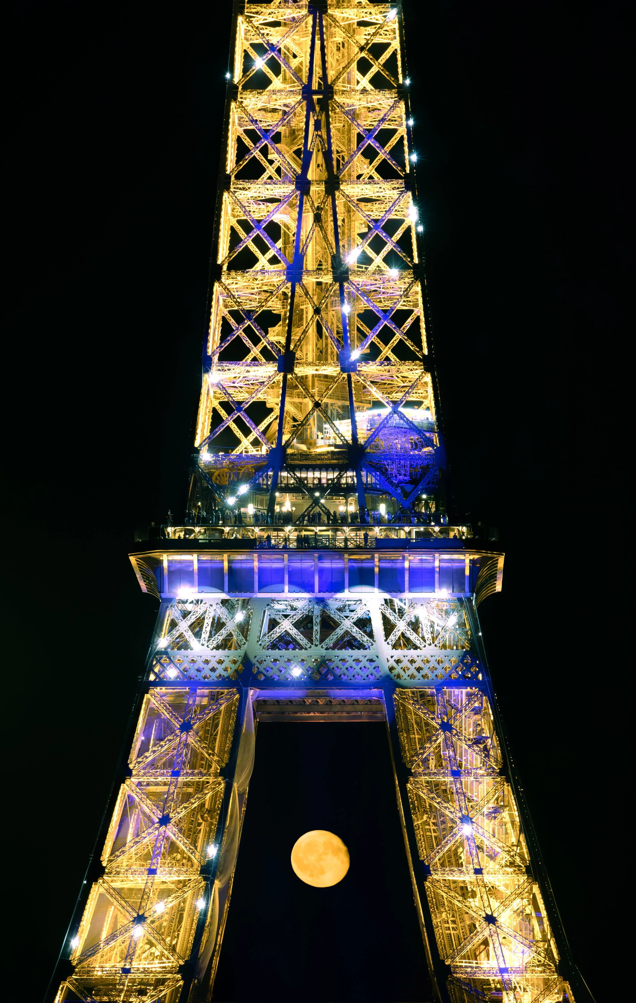 IMG_1547-Enhanced-NR-3-Edit.jpg