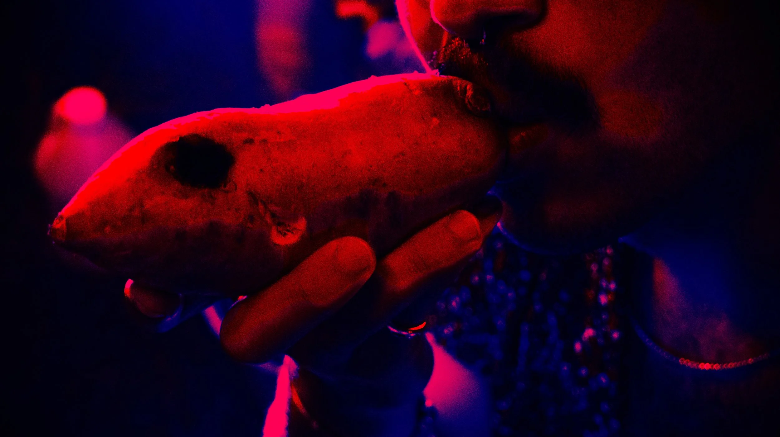 IMG_3673 smaller.jpg