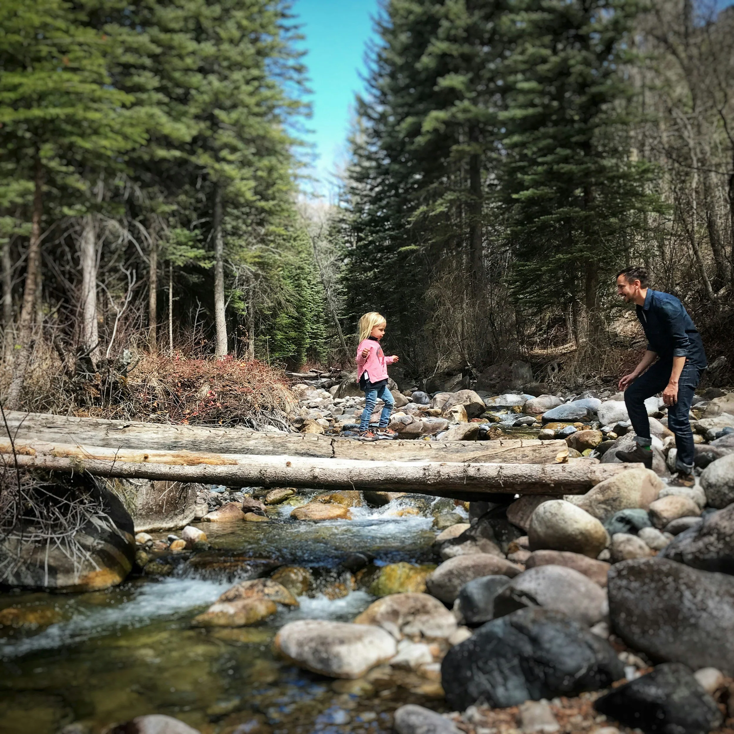 A man and a young girl crossing a creek on a log in a forested area with pine trees and rocks.