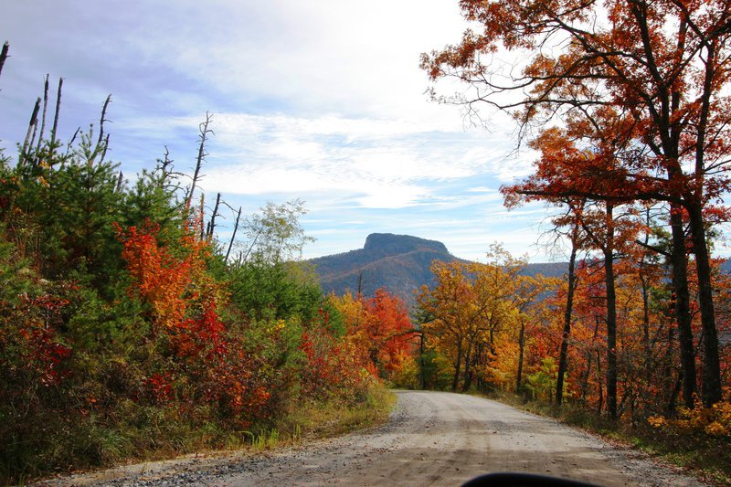 A dirt road winding through a forest with trees showcasing vibrant fall colors, and a mountain in the distance under a partly cloudy sky.