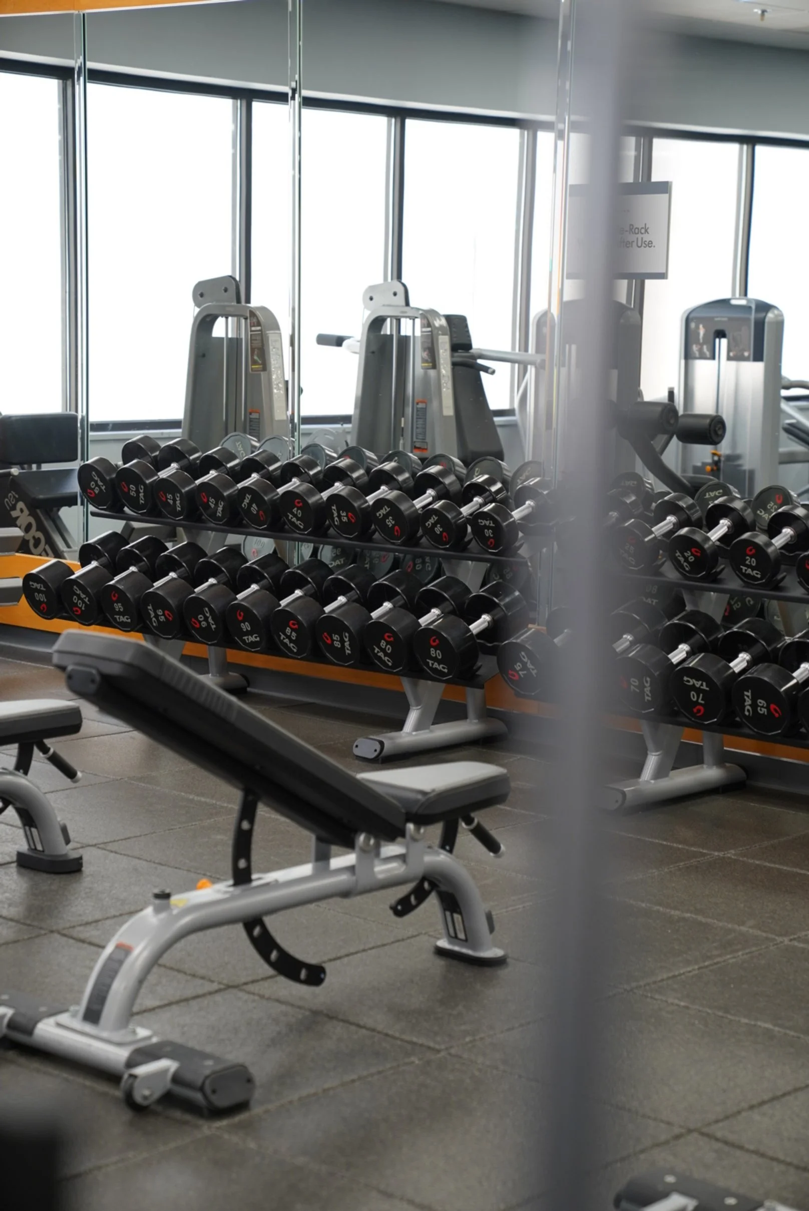 Photo May 20 2025, 8 56 29 AM.jpg