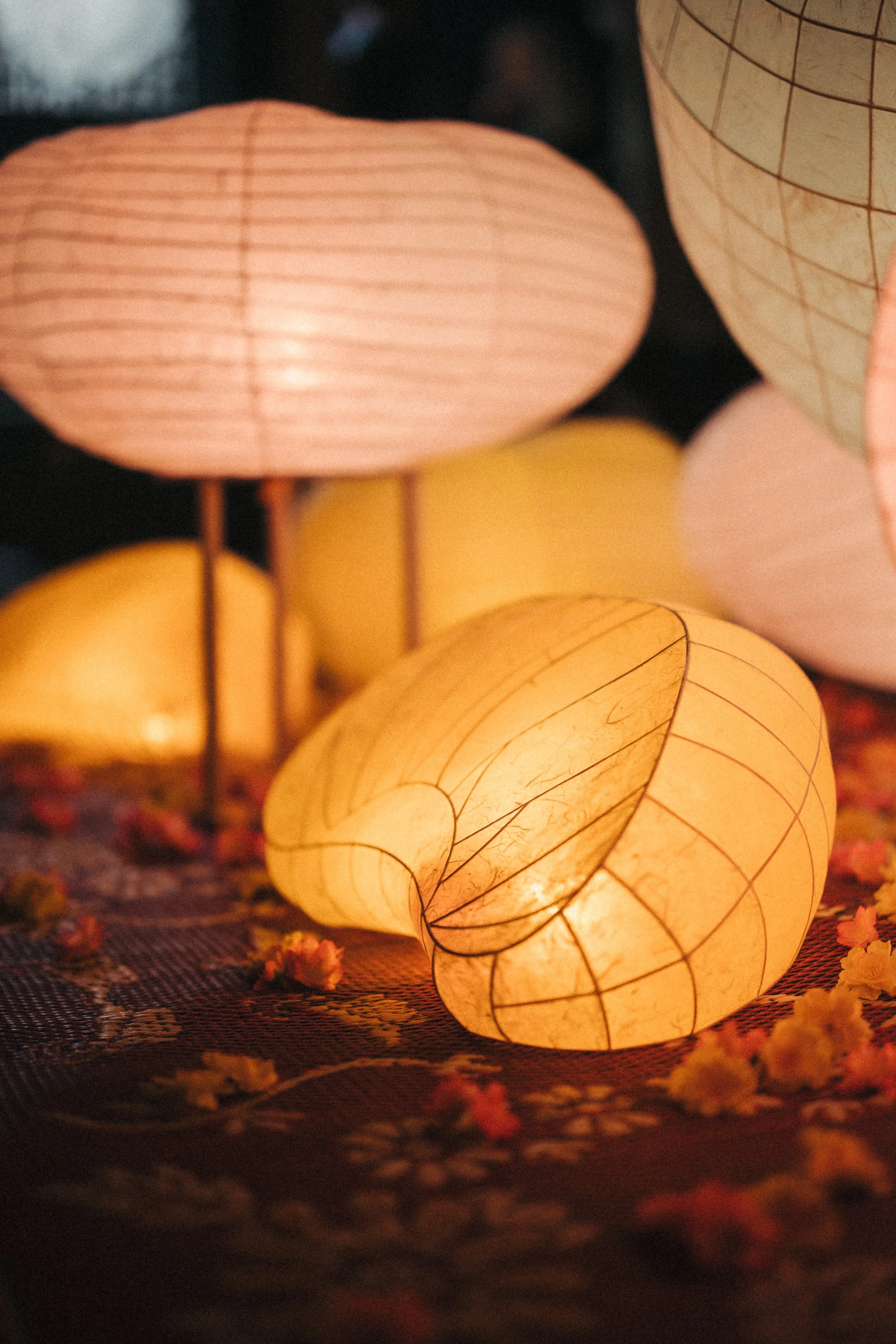 DAN LYNH PHAM-1082.jpg