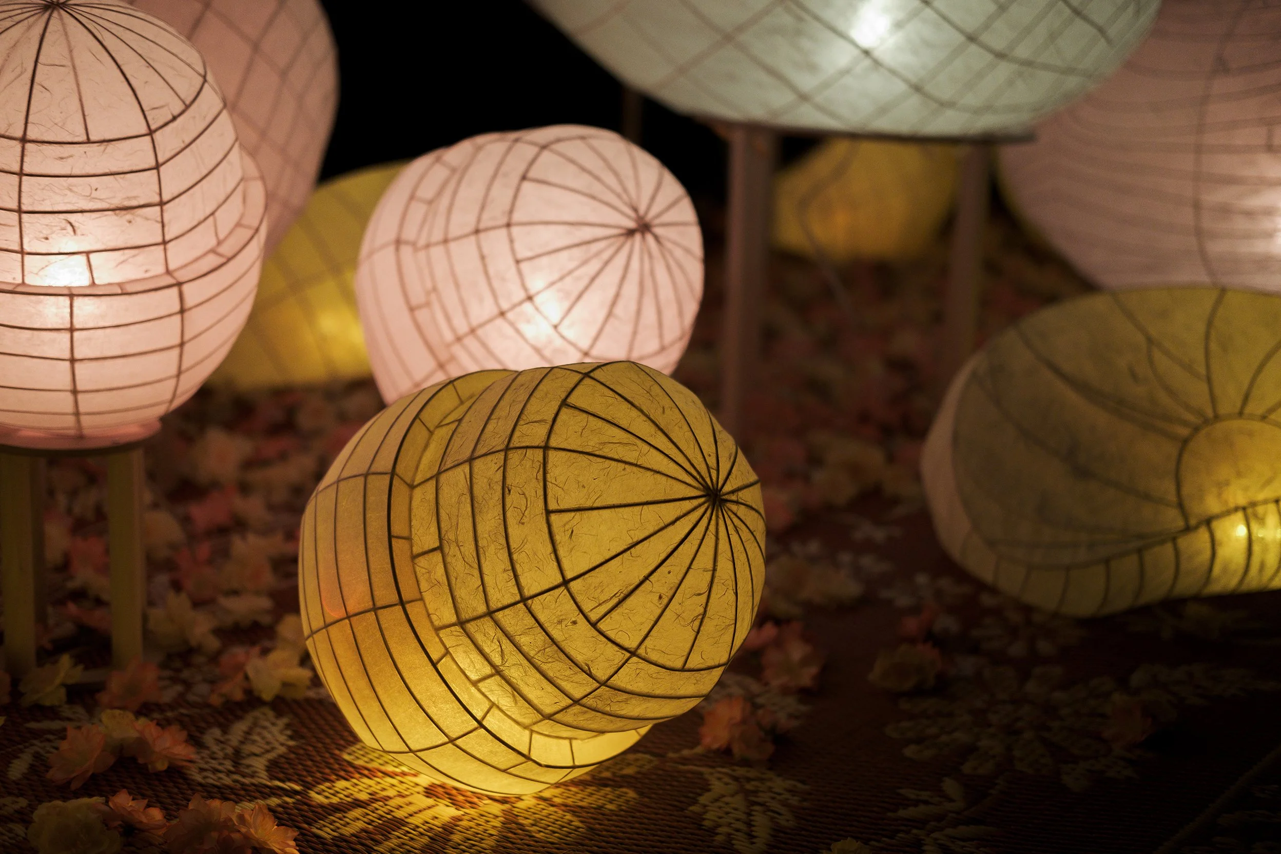lanterns 16.jpg