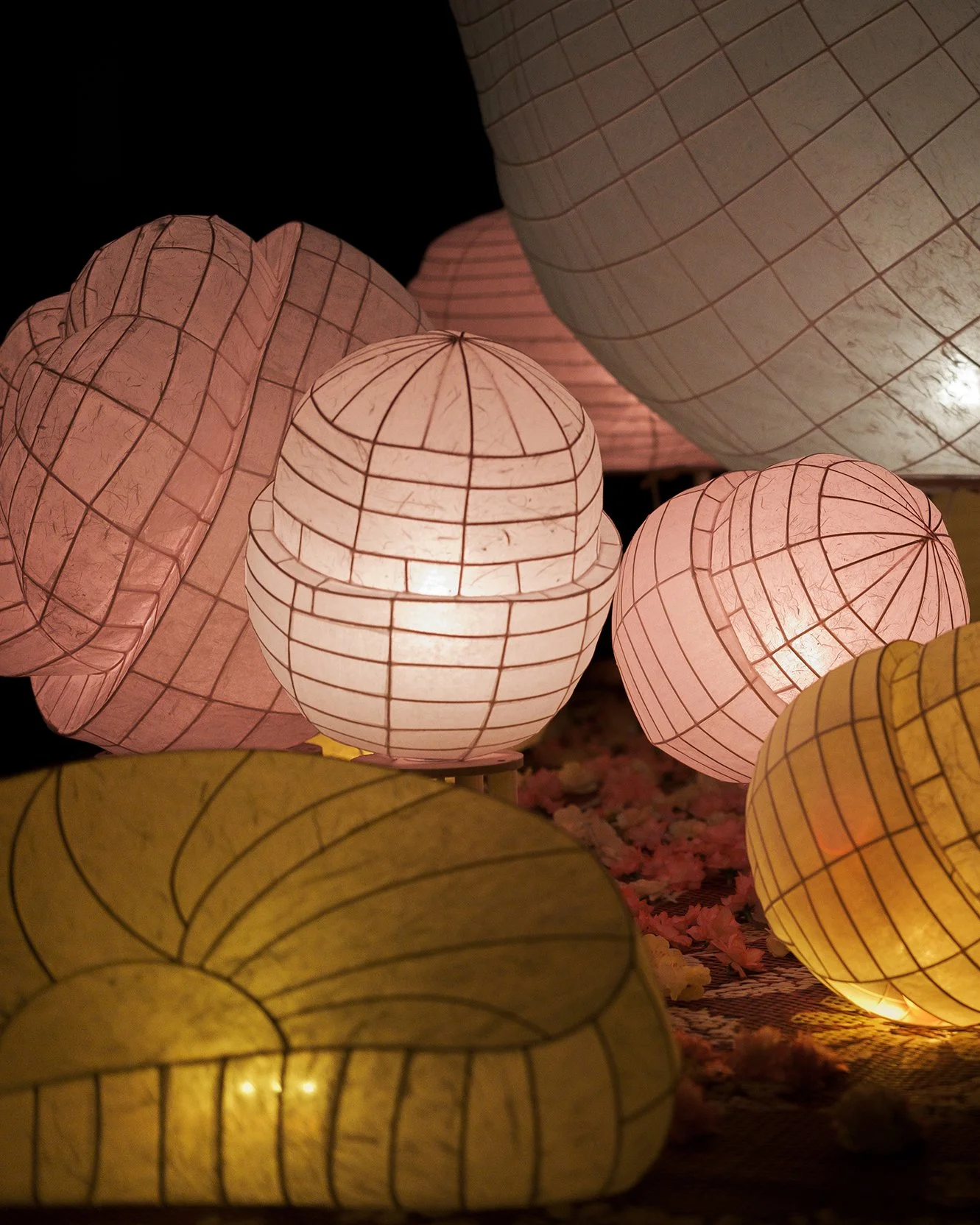 photo by Việt H. Nguyễn