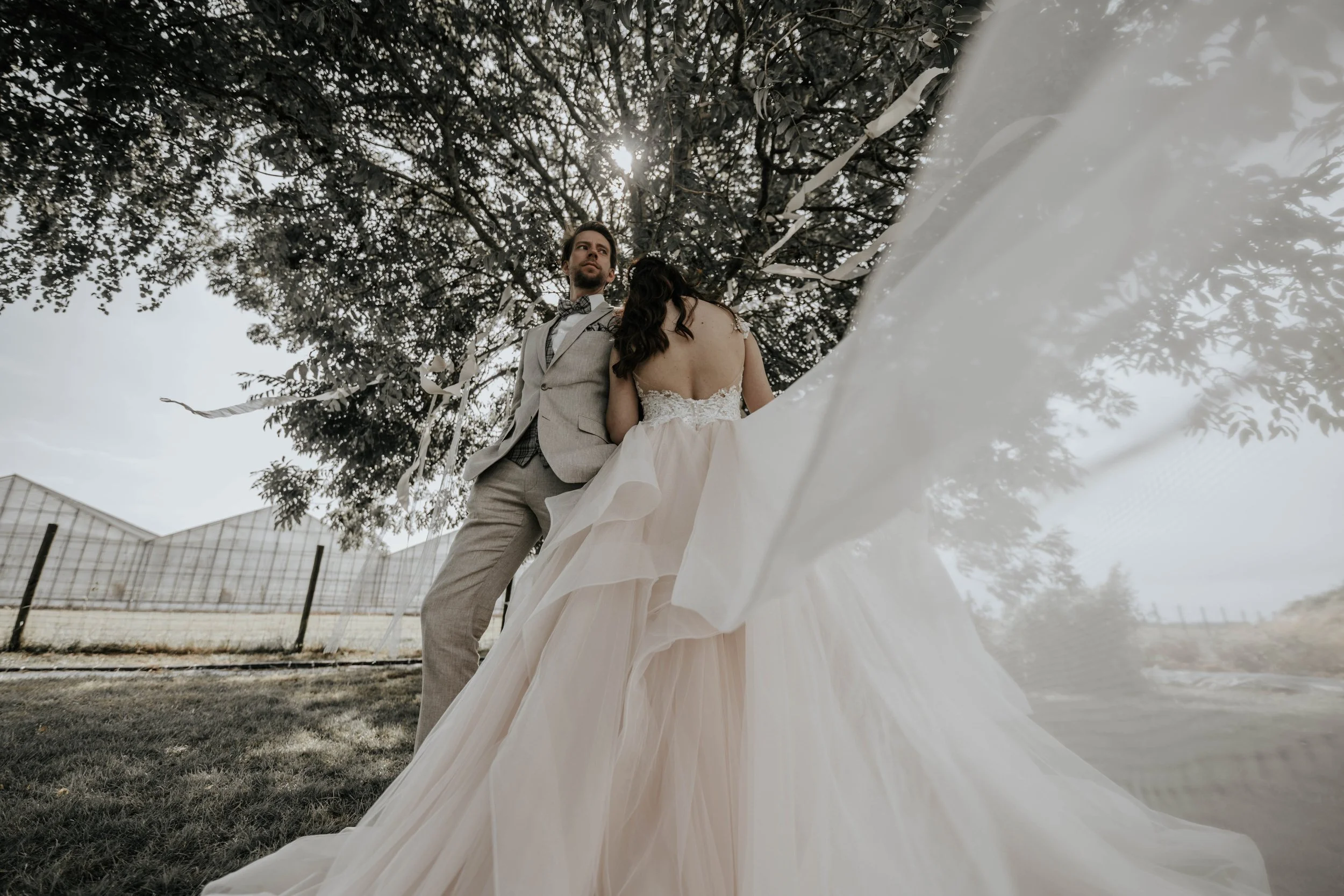 Bruidsparen onder een boom met een spanwijdte van witte linten, gefotografeerd van onderen, met een modern gebouw op de achtergrond.