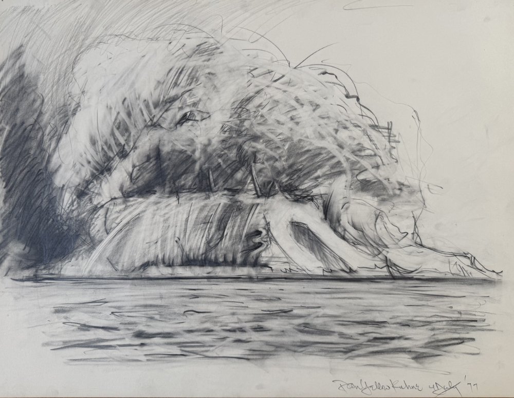 A charcoal sketch of a fox curled up and resting on a surface, with detailed fur and a peaceful expression.