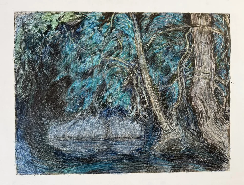 A colorful drawing of a river flowing through a forest with trees and dense foliage.